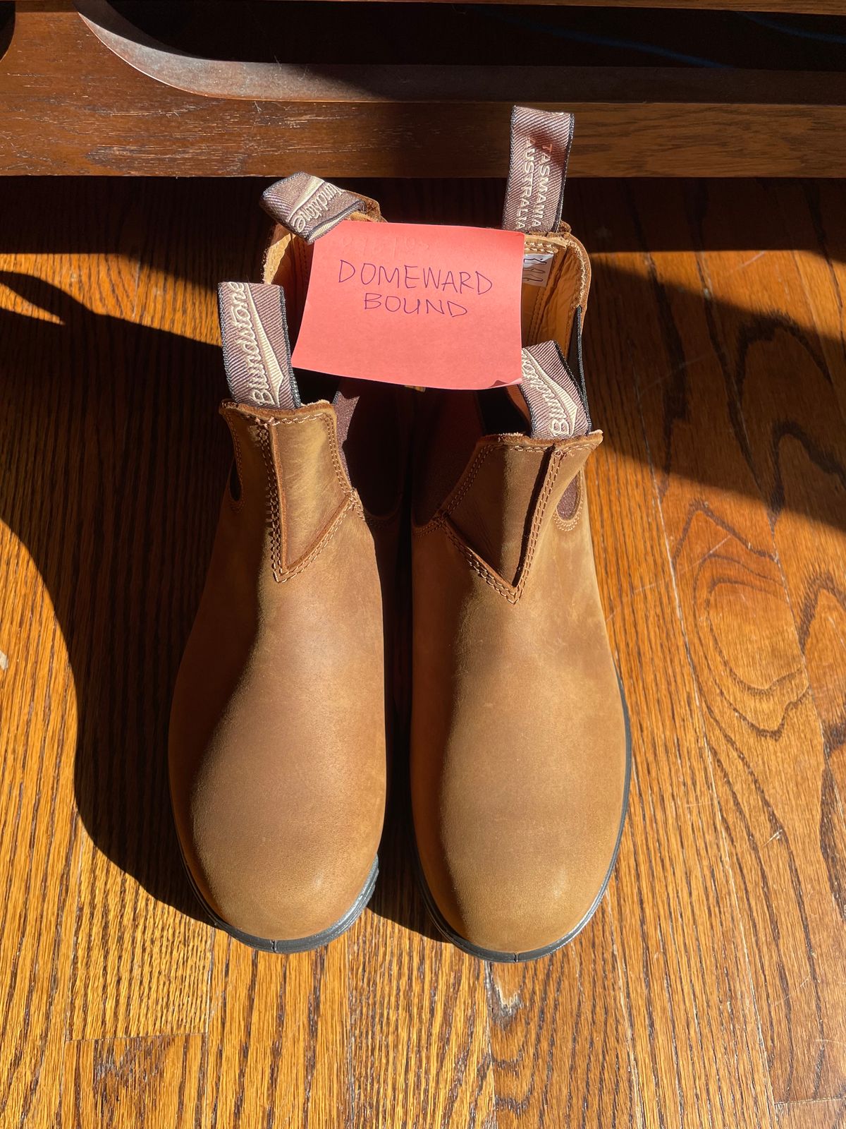 Photo by sarquat on October 1, 2023 of the Blundstone Classic in Saddle Brown Crazy Horse.