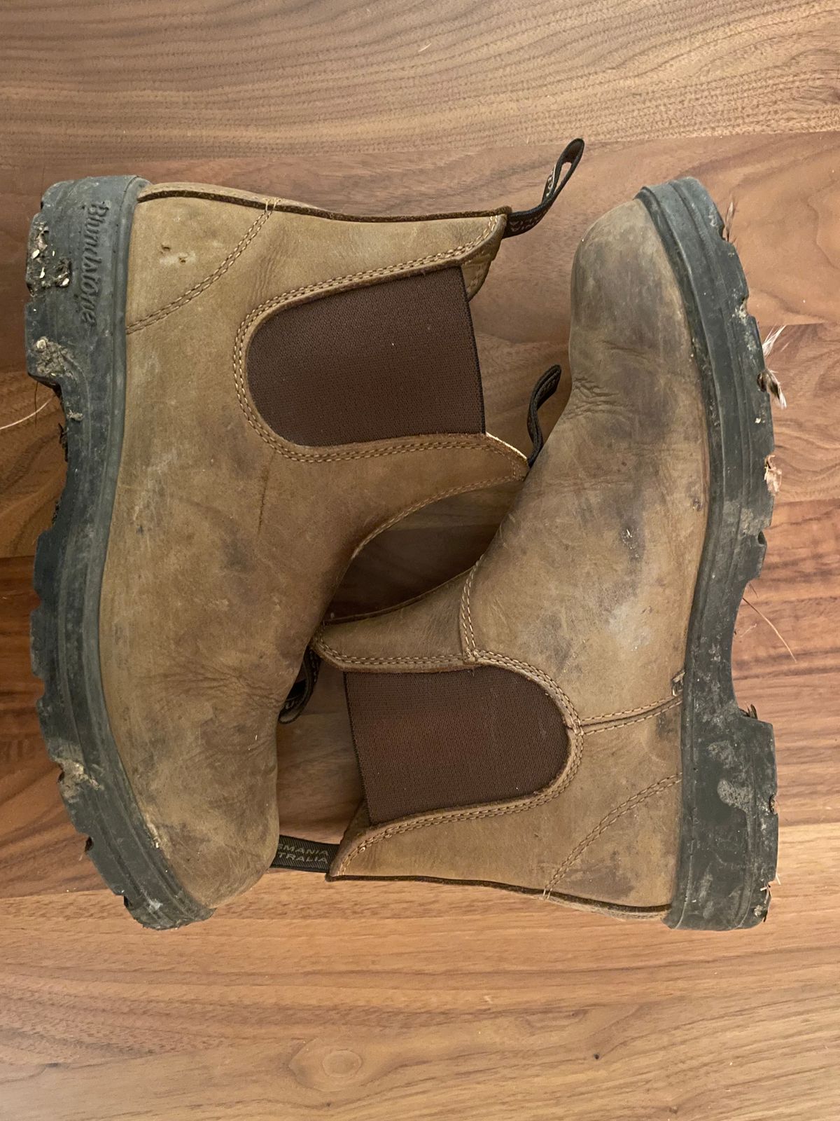 Photo by sarquat on November 9, 2023 of the Blundstone Classic in Saddle Brown Crazy Horse.