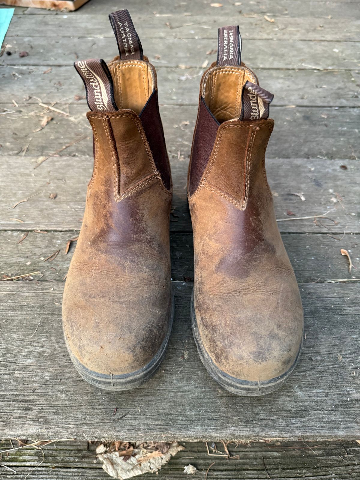 Photo by sarquat on January 5, 2024 of the Blundstone Classic in Saddle Brown Crazy Horse.