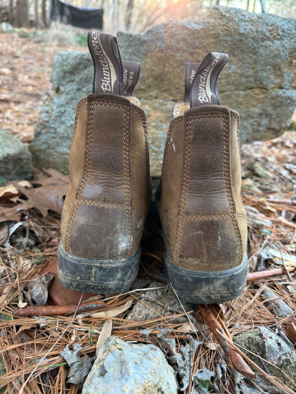Photo by sarquat on February 5, 2024 of the Blundstone Classic in Saddle Brown Crazy Horse.