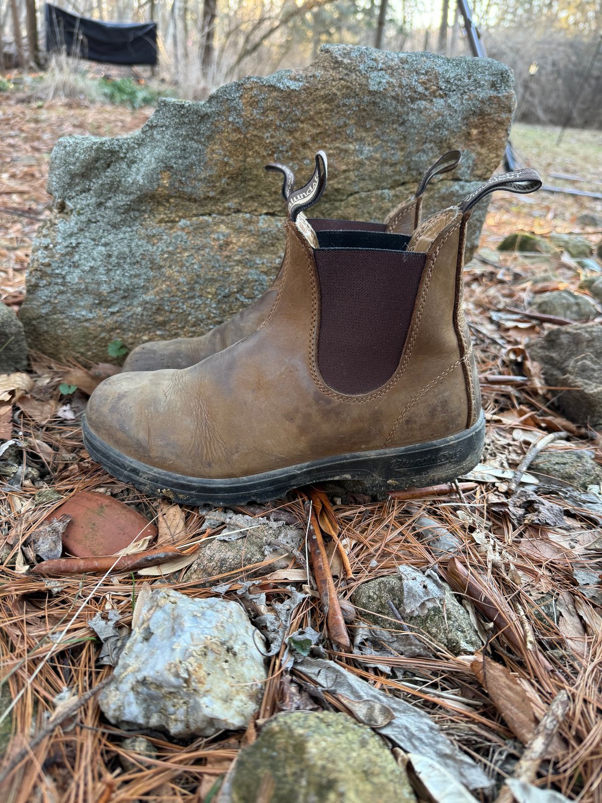 Photo by sarquat on February 5, 2024 of the Blundstone Classic in Saddle Brown Crazy Horse.