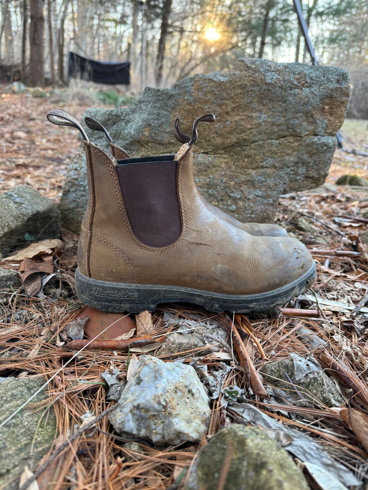 Photo by sarquat on February 5, 2024 of the Blundstone Classic in Saddle Brown Crazy Horse.