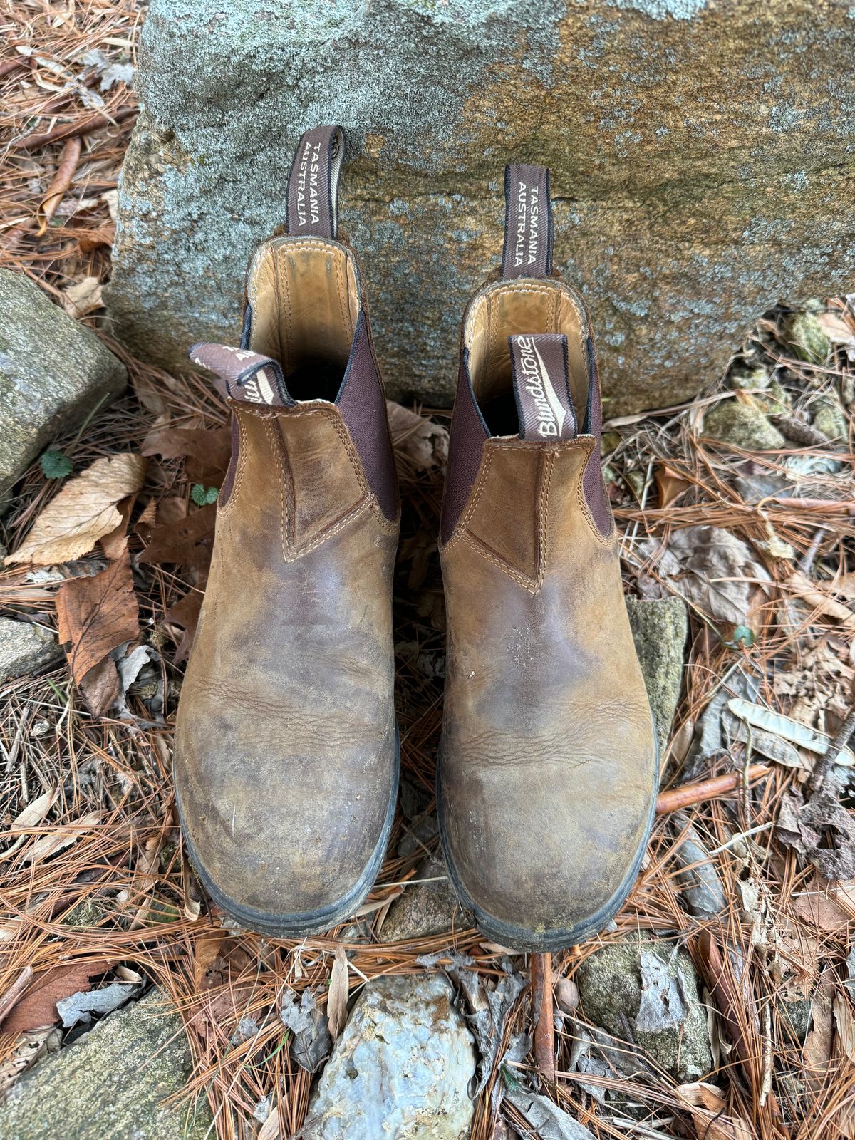Photo by sarquat on February 5, 2024 of the Blundstone Classic in Saddle Brown Crazy Horse.