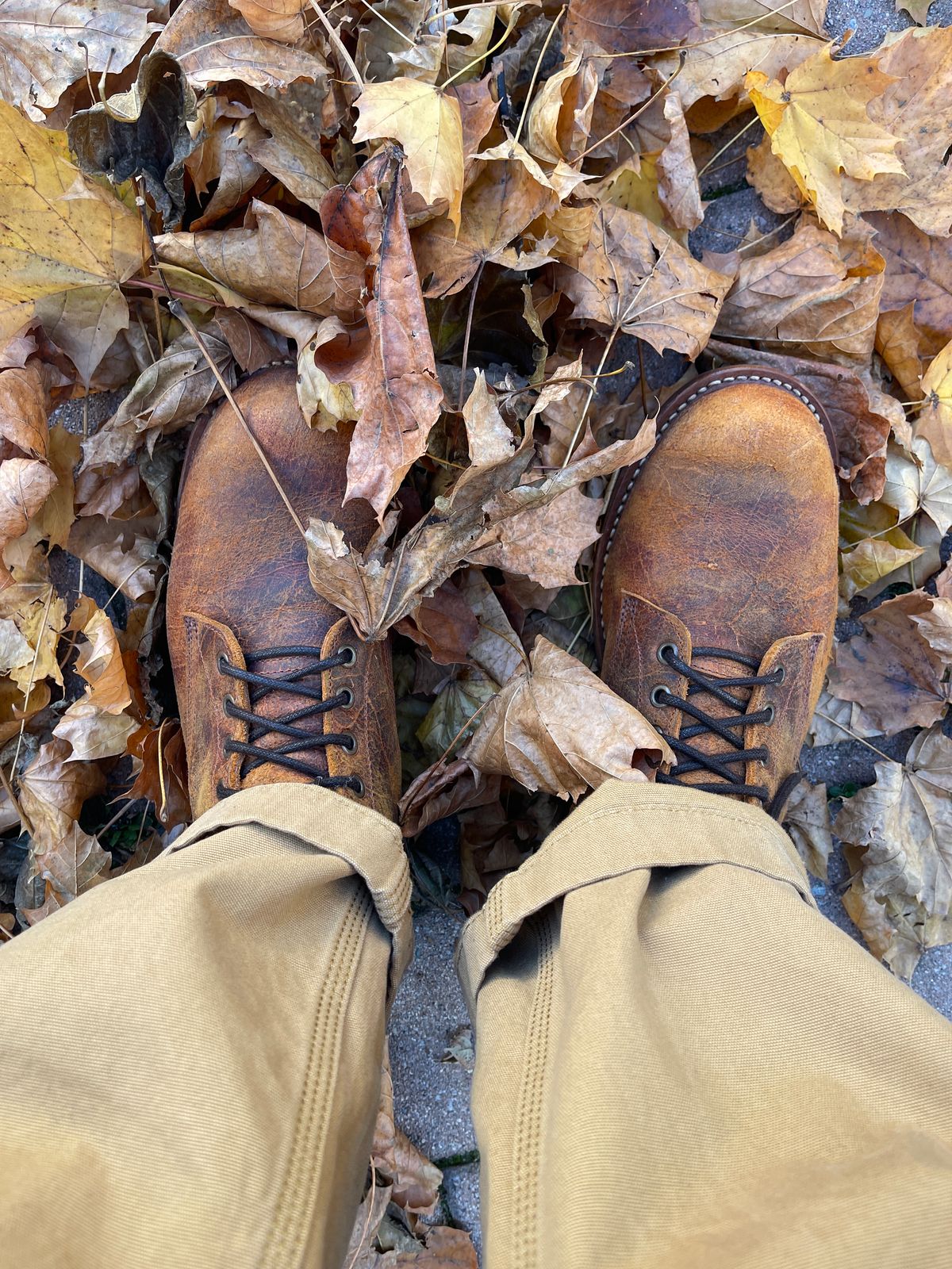 Photo by MRivera4396 on November 27, 2024 of the Truman Plain Toe Boot in C.F. Stead Coach Rambler.