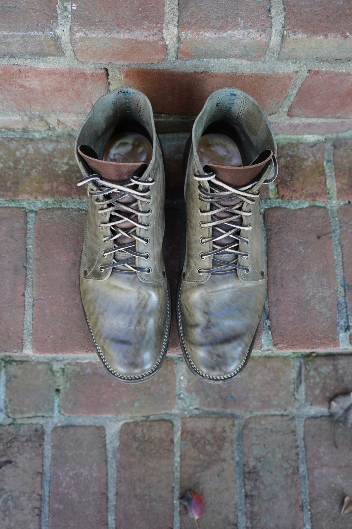 Photo by drew_altizer on November 3, 2023 of the NF Bootmaker Milton Boot in Maryam Waxy Salvia Horsebutt.