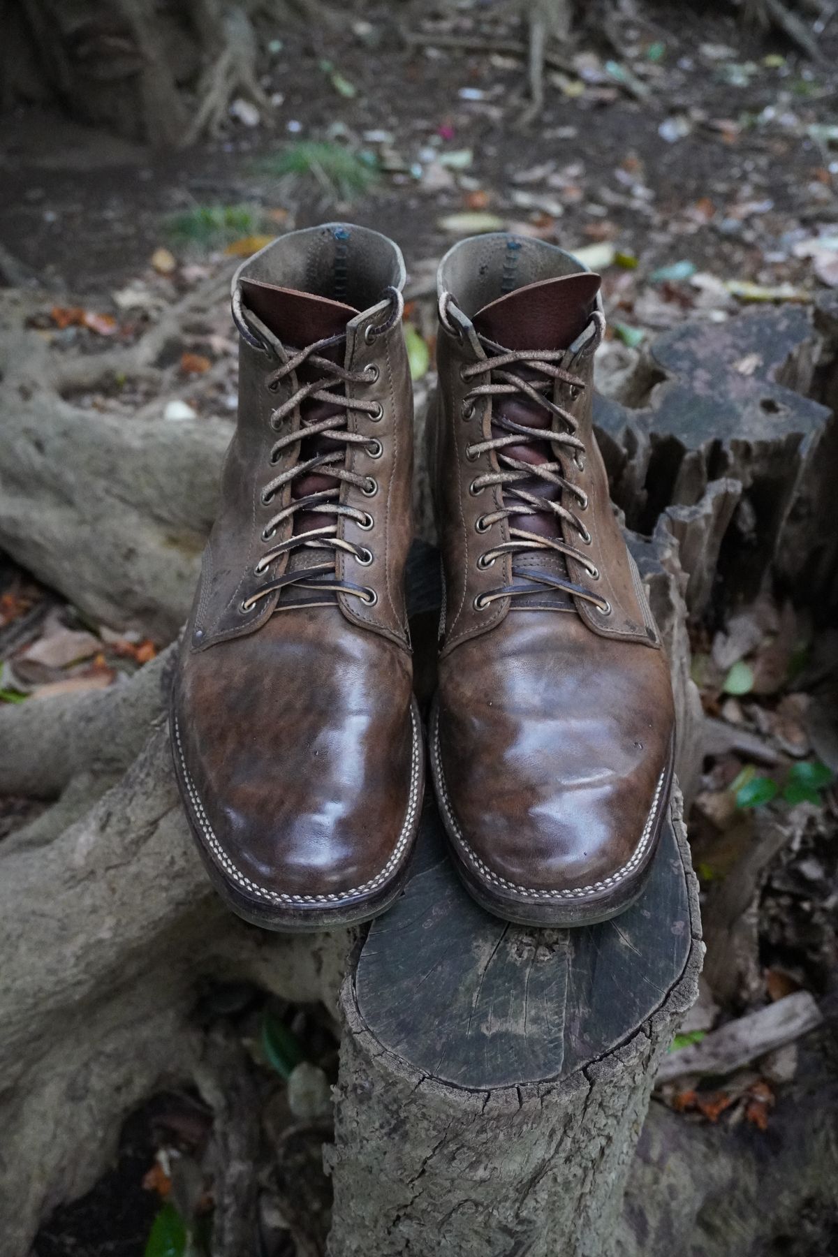 Photo by drew_altizer on April 2, 2024 of the NF Bootmaker Milton Boot in Maryam Waxy Salvia Horsebutt.