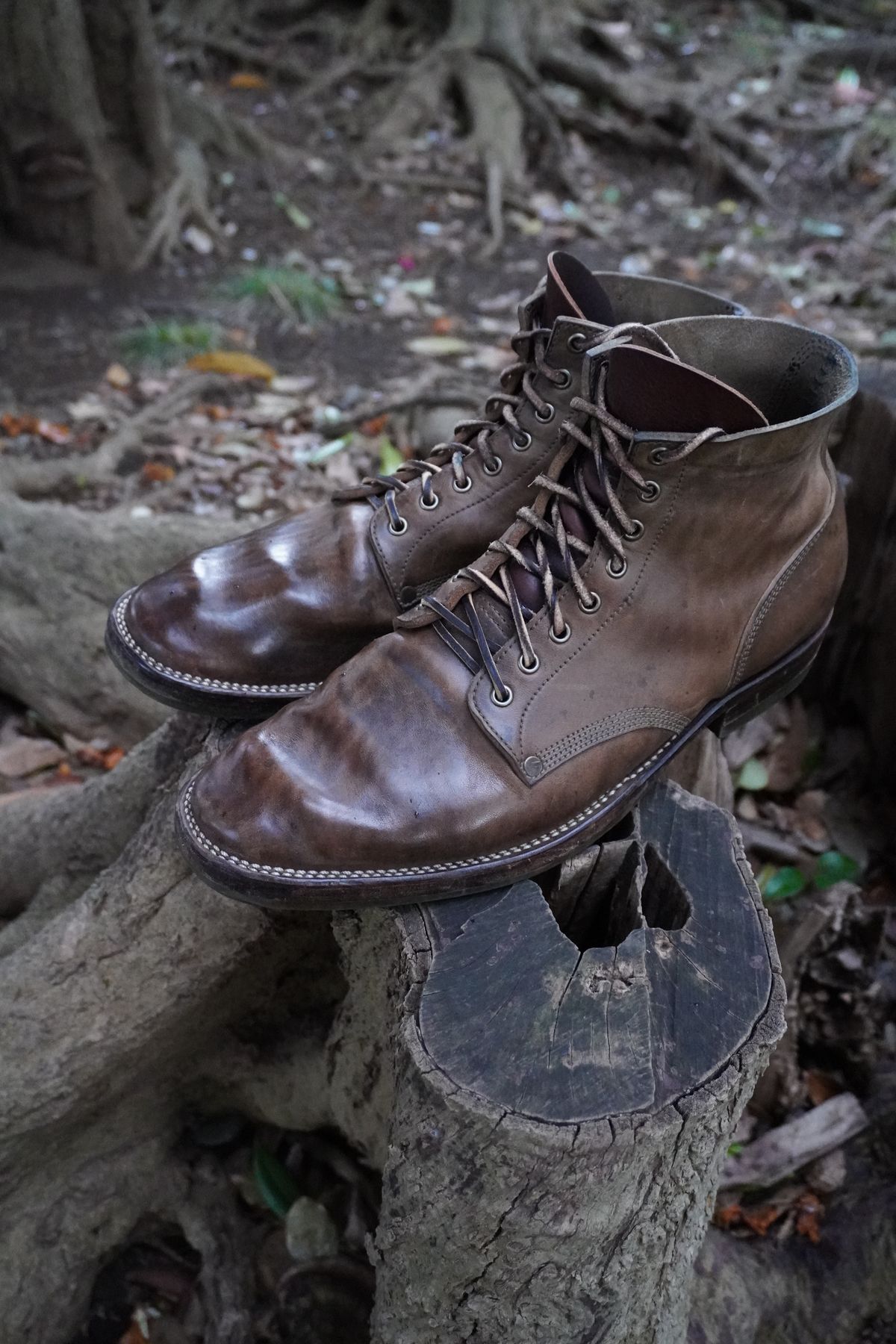 Photo by drew_altizer on April 2, 2024 of the NF Bootmaker Milton Boot in Maryam Waxy Salvia Horsebutt.