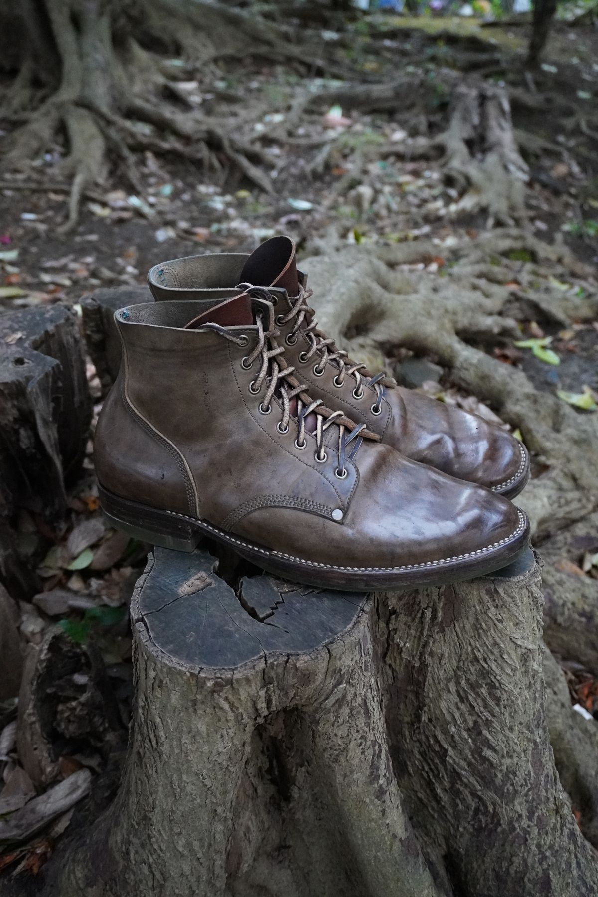 Photo by drew_altizer on April 2, 2024 of the NF Bootmaker Milton Boot in Maryam Waxy Salvia Horsebutt.