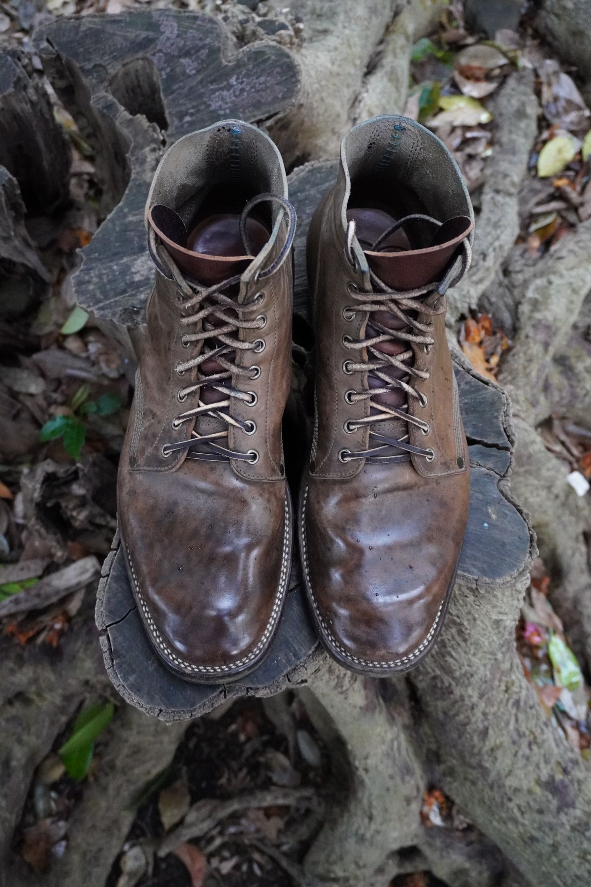 Photo by drew_altizer on April 2, 2024 of the NF Bootmaker Milton Boot in Maryam Waxy Salvia Horsebutt.