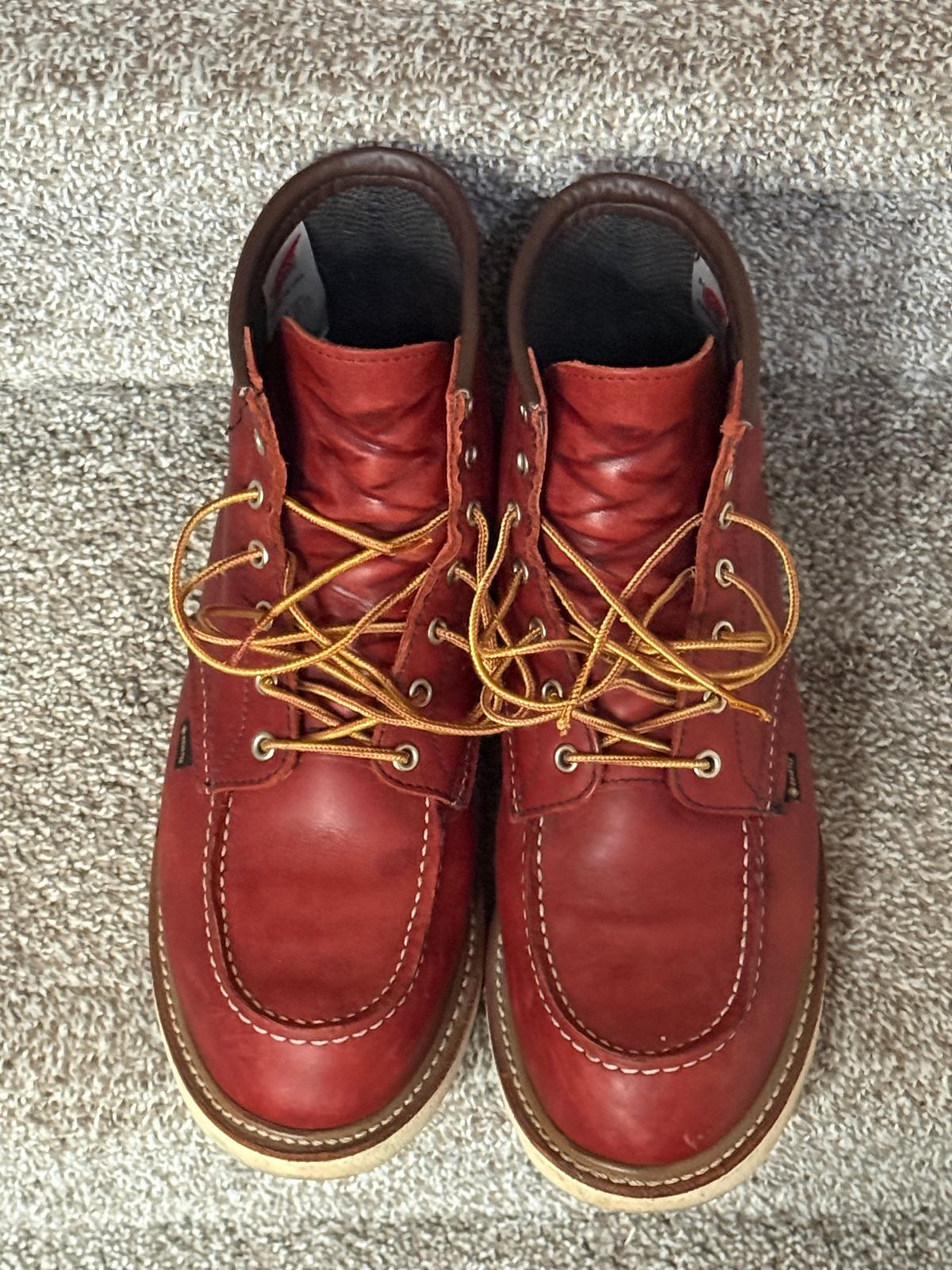 Photo by burrinboots on November 2, 2025 of the Red Wing 6-Inch Classic Moc in S.B. Foot Russet Taos.