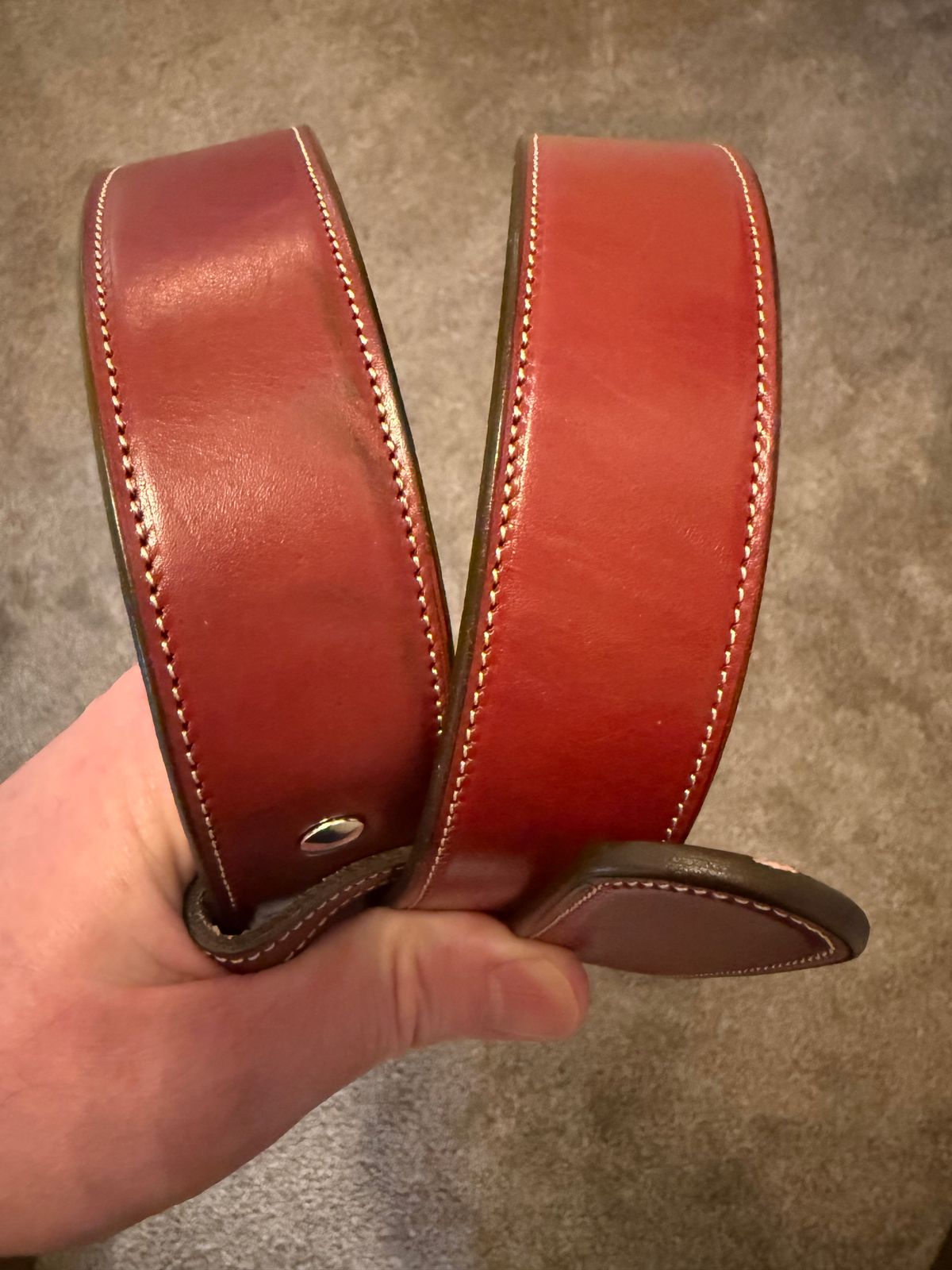 Photo by burrinboots on March 1, 2026 of the Hanks Belts The Canyon in English Bridle.