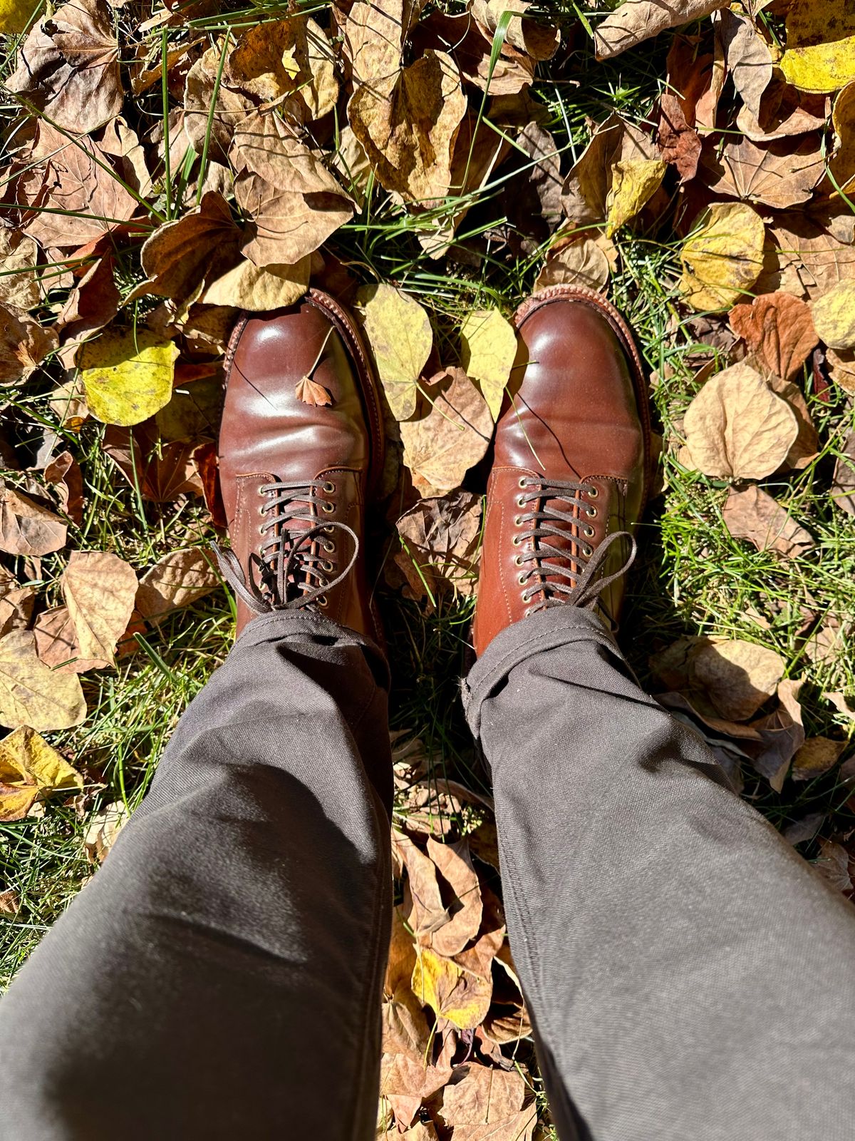 Photo by shaking.boots on October 24, 2024 of the Alden Plain Toe Boot in Horween Color 2 Shell Cordovan.