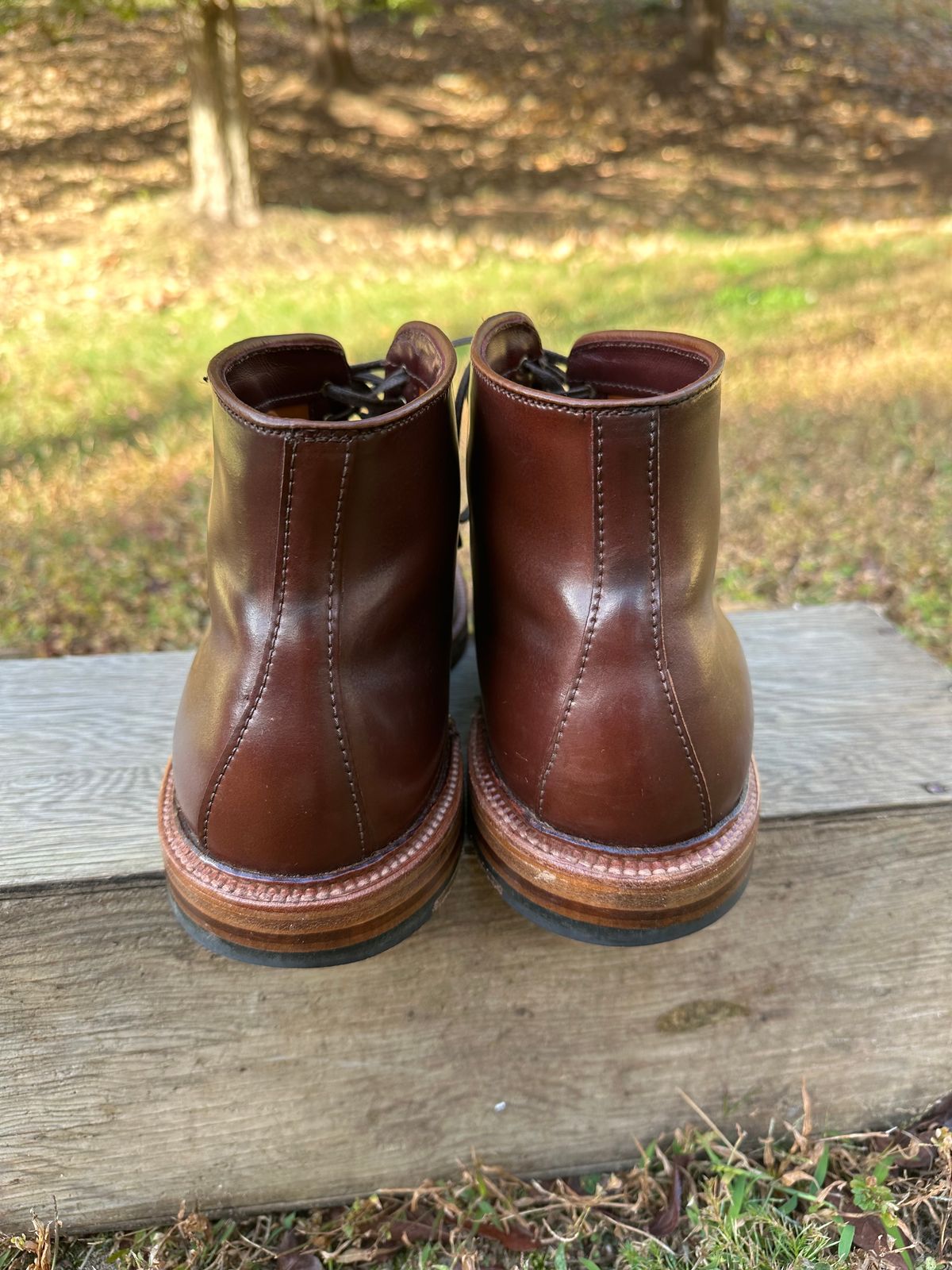 Photo by shaking.boots on November 5, 2024 of the Alden Plain Toe Boot in Horween Color 2 Shell Cordovan.