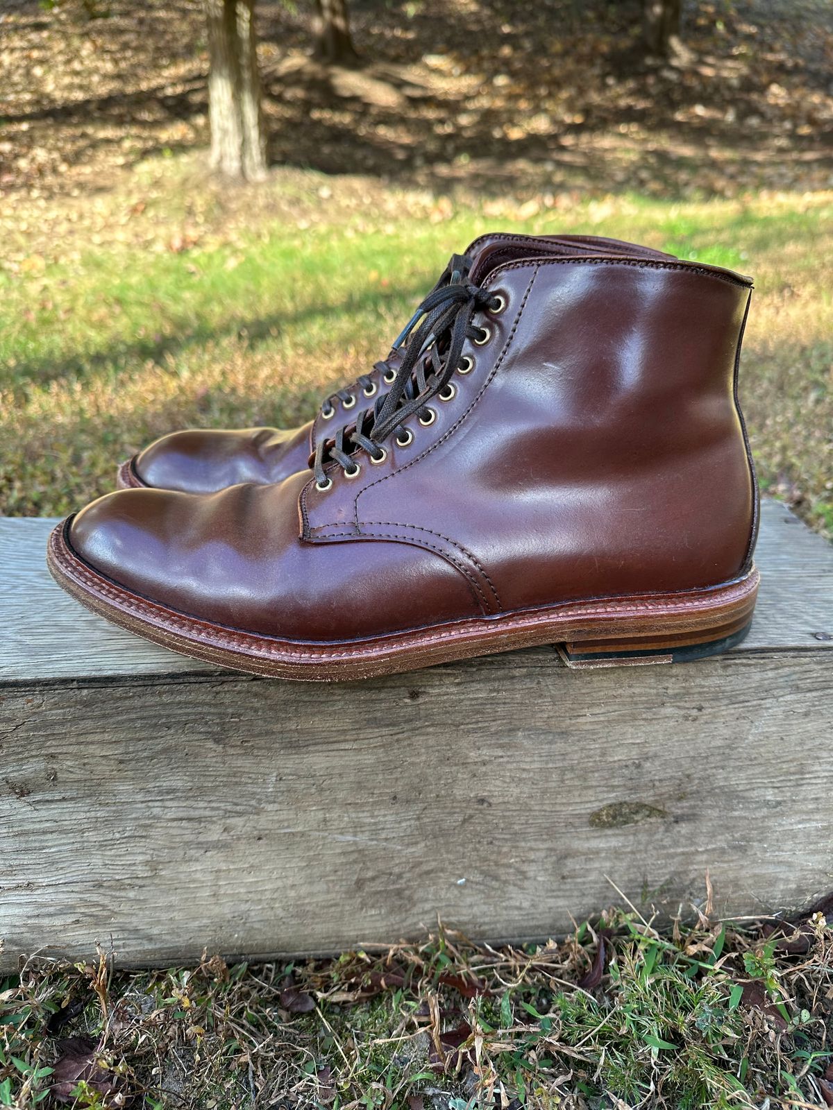 Photo by shaking.boots on November 5, 2024 of the Alden Plain Toe Boot in Horween Color 2 Shell Cordovan.
