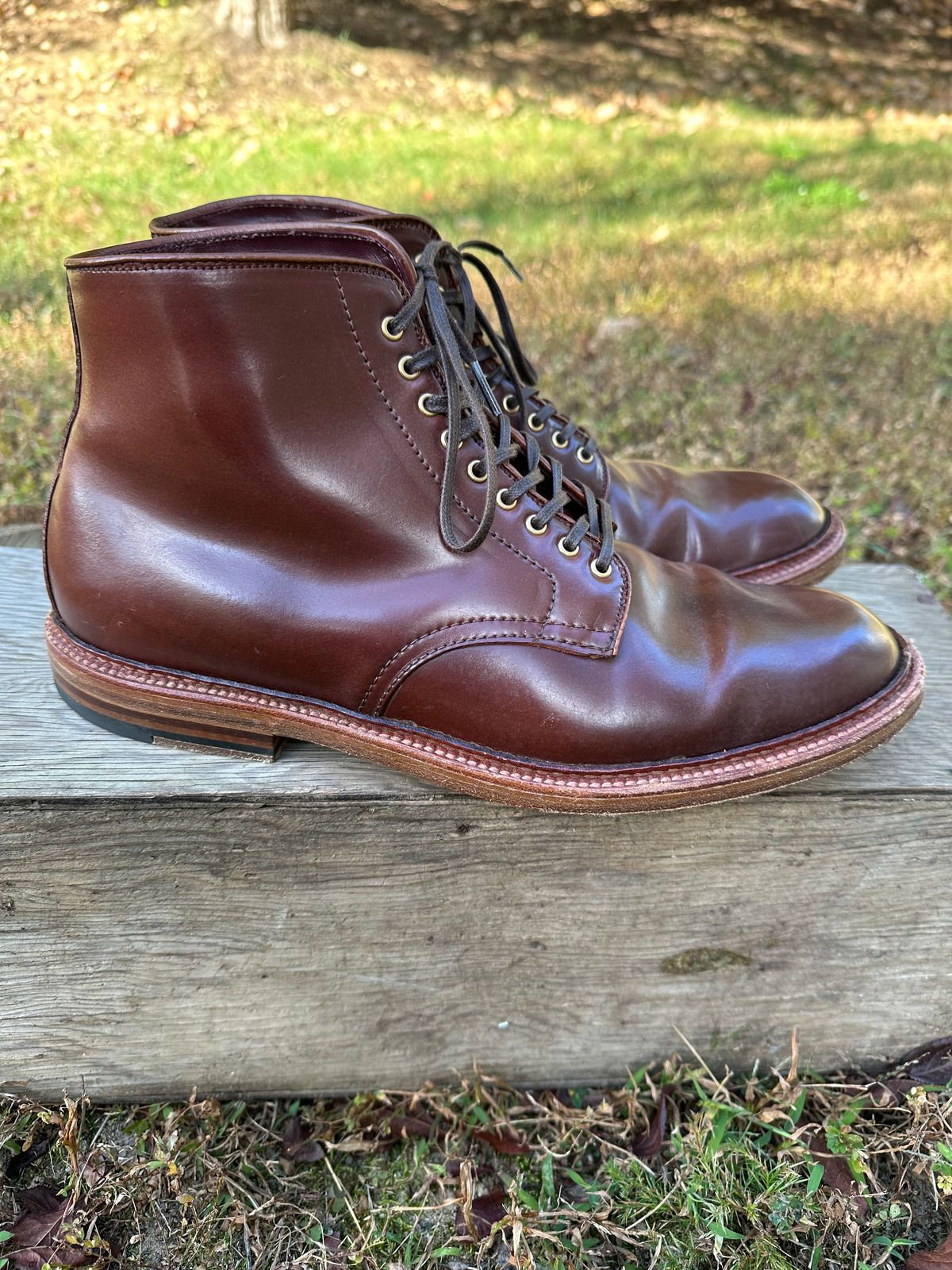 Photo by shaking.boots on November 5, 2024 of the Alden Plain Toe Boot in Horween Color 2 Shell Cordovan.