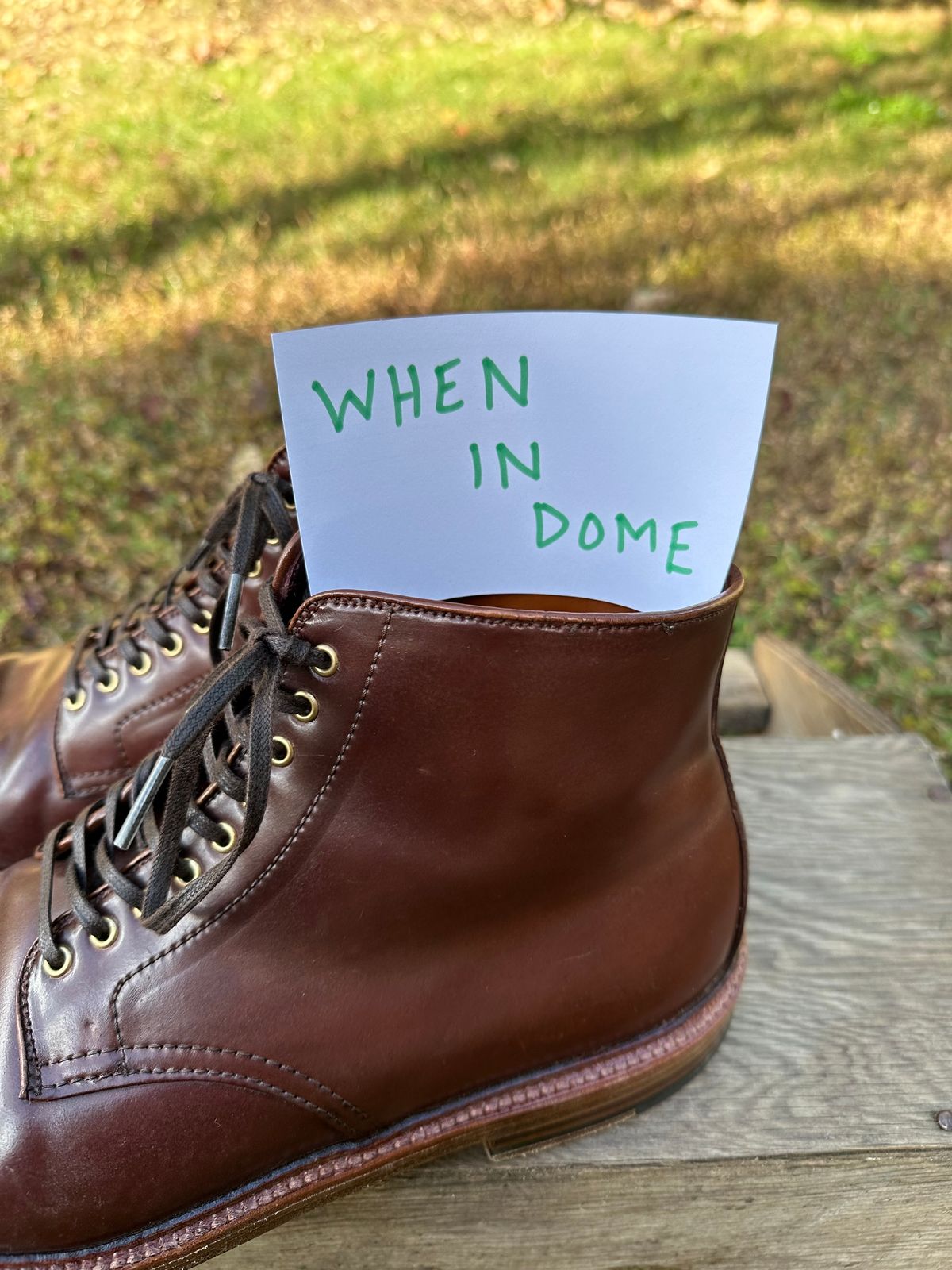 Photo by shaking.boots on November 5, 2024 of the Alden Plain Toe Boot in Horween Color 2 Shell Cordovan.
