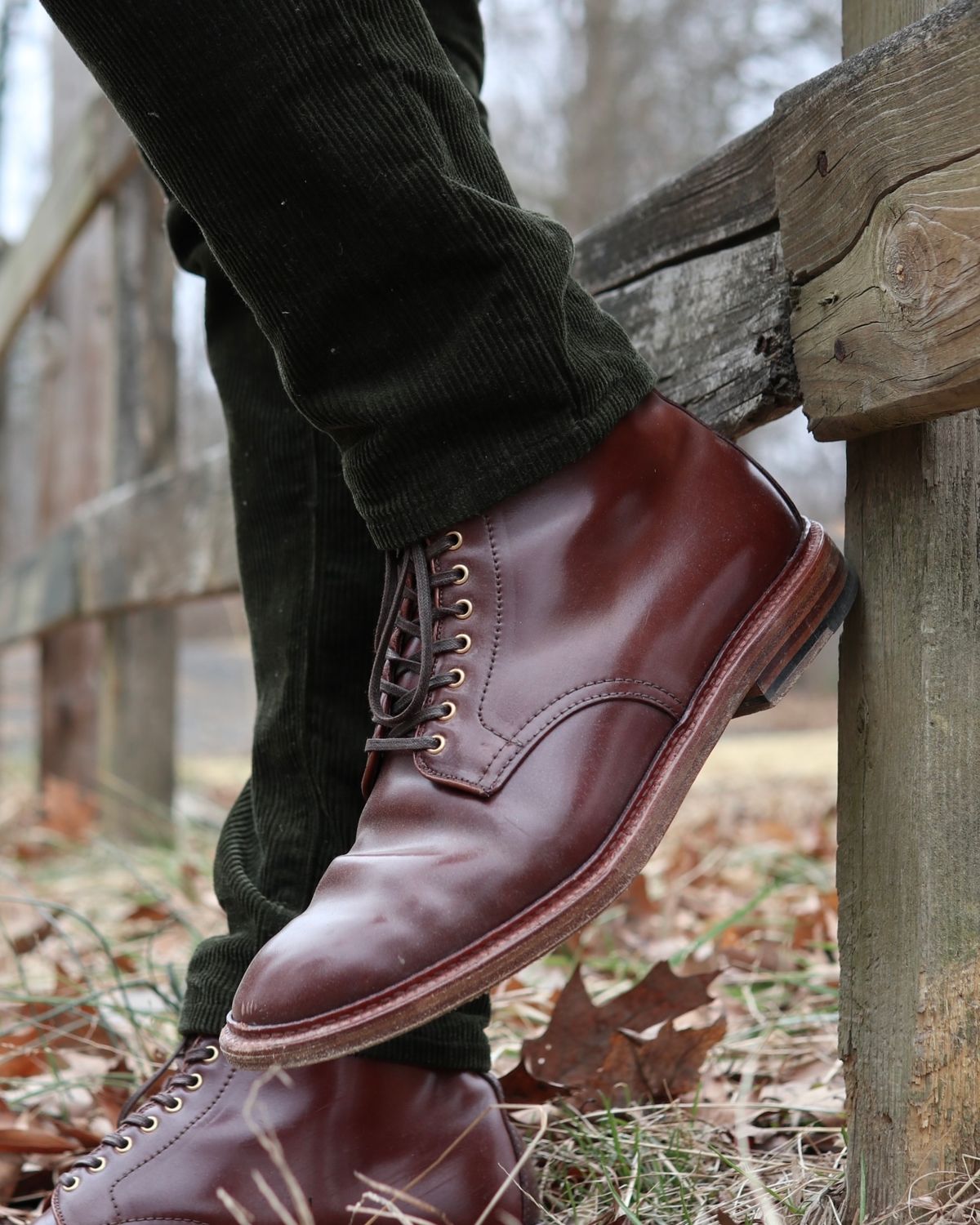 Photo by shaking.boots on March 5, 2025 of the Alden Plain Toe Boot in Horween Color 2 Shell Cordovan.