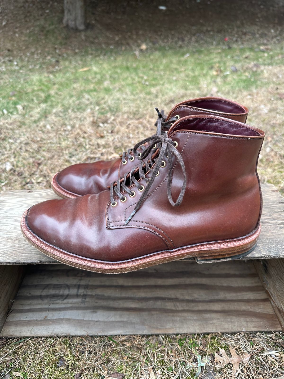Photo by shaking.boots on March 5, 2025 of the Alden Plain Toe Boot in Horween Color 2 Shell Cordovan.