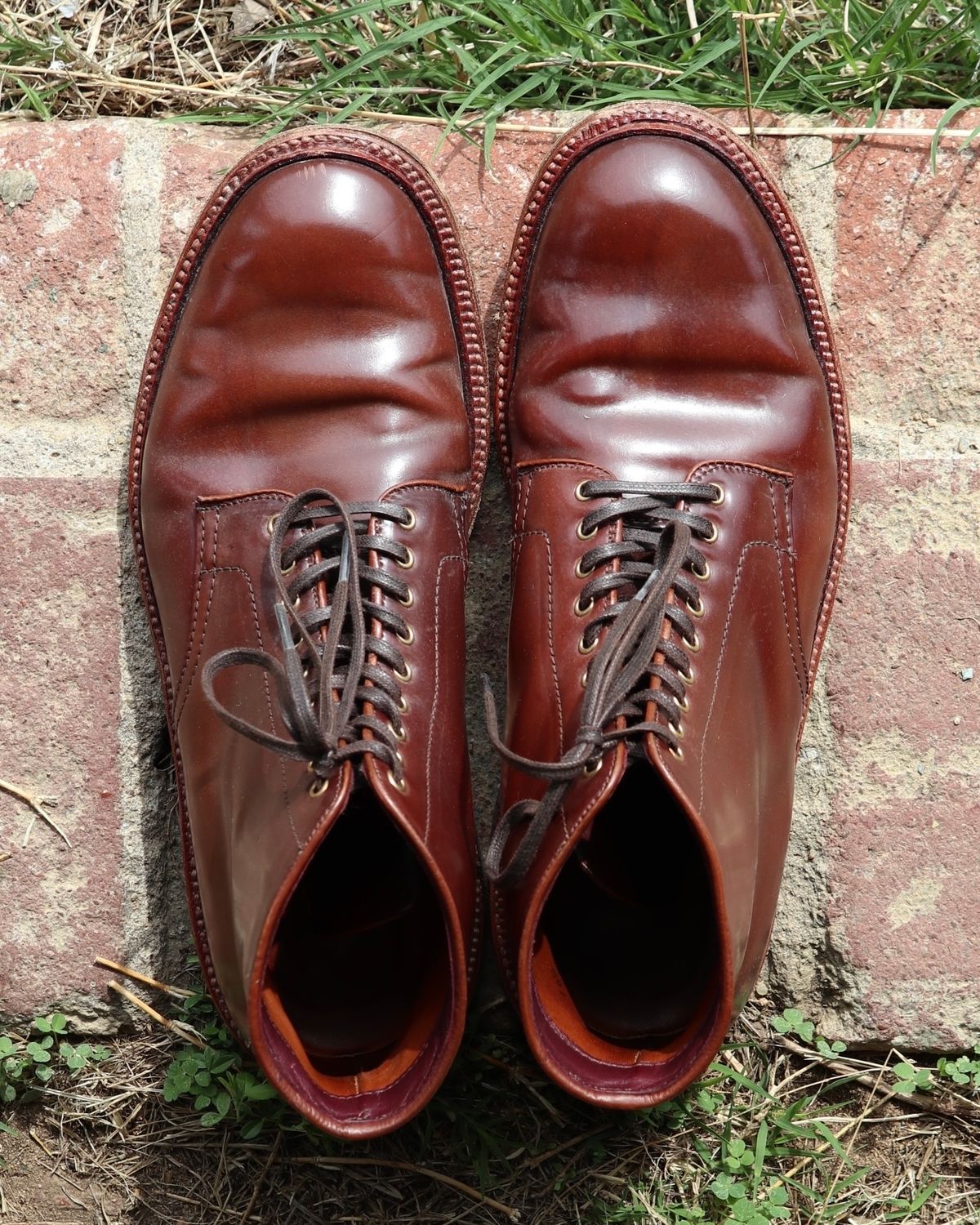 Photo by shaking.boots on April 5, 2025 of the Alden Plain Toe Boot in Horween Color 2 Shell Cordovan.