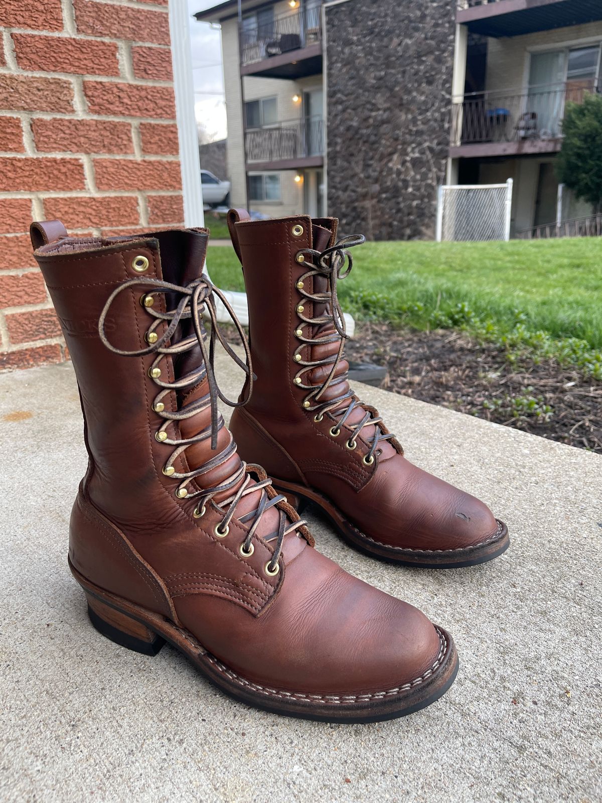 Photo by Macedo on April 5, 2024 of the Nicks Ranger in Seidel 1964 Brown.