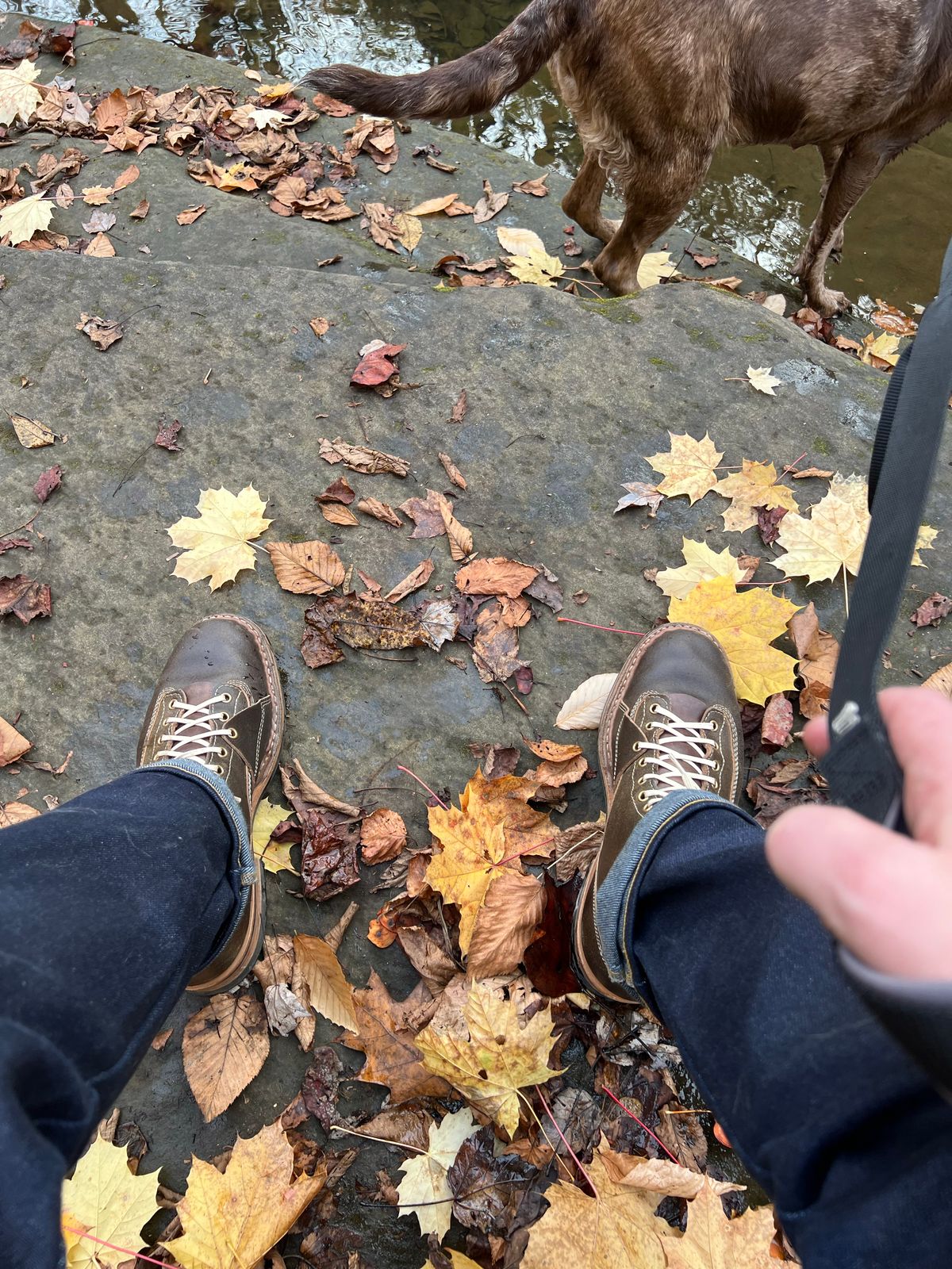 Photo by righturnclyde on November 4, 2022 of the White's Unlisted Model in Horween Olive Waxed Flesh.