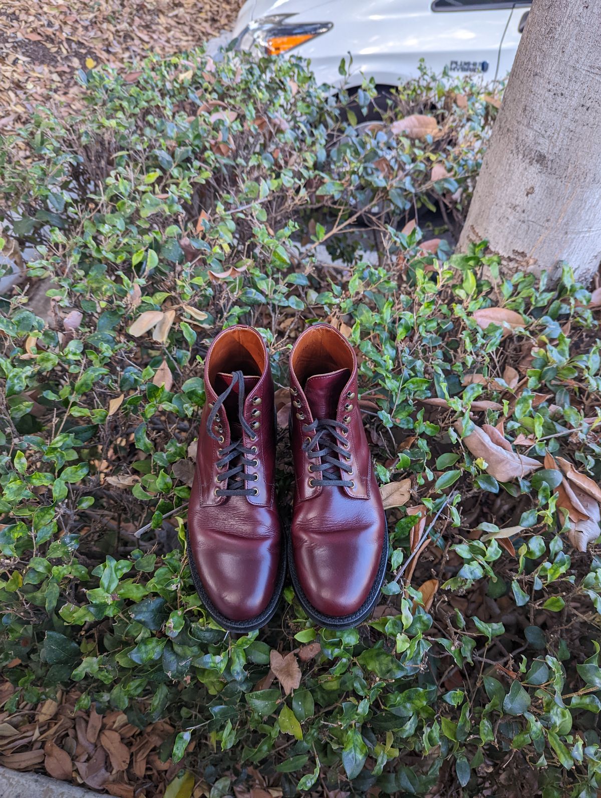 Photo by unlegends on November 2, 2022 of the Grant Stone Edward Boot in Horween Color 8 Chromexcel.