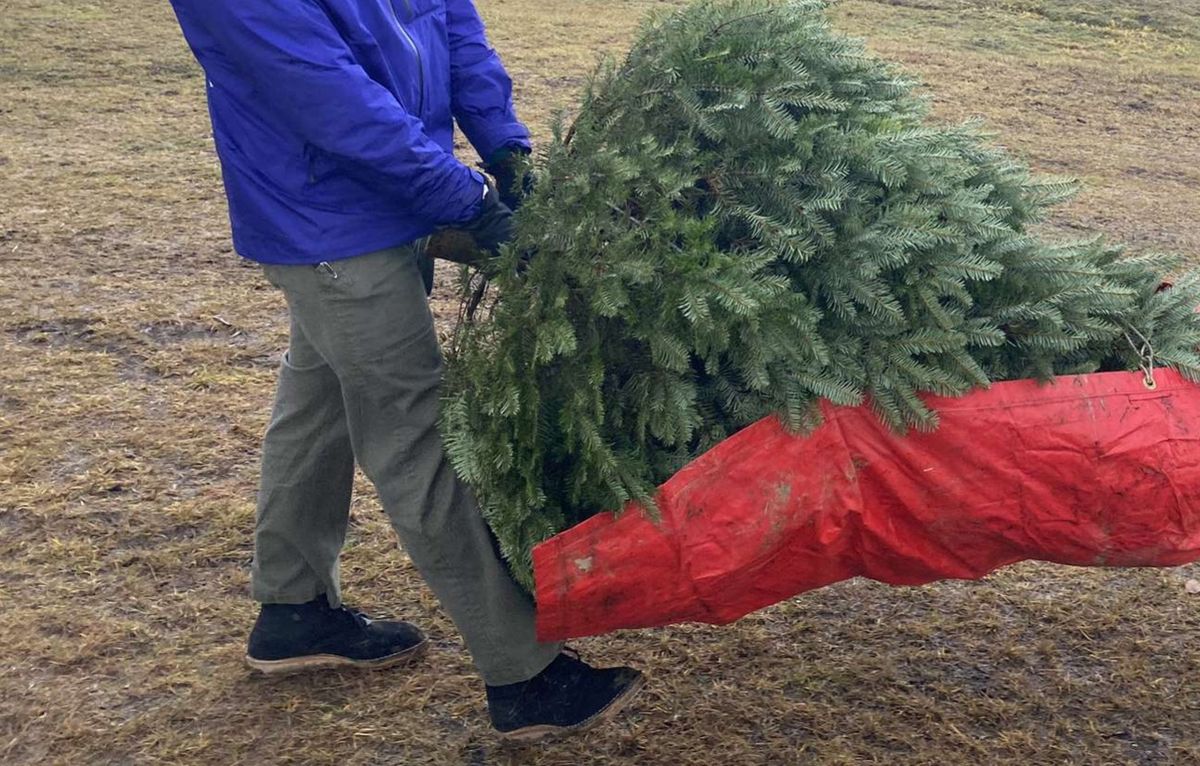 Photo by pancake_32 on December 6, 2025 of the Nicks Aldert Strider in Seidel MaxSupport Black Roughout.