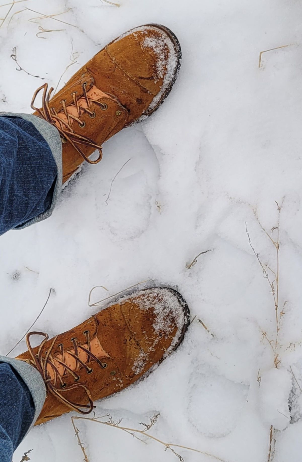 Photo by pancake_32 on January 5, 2023 of the Midas Service Boot in Indonesian Tan Roughout.