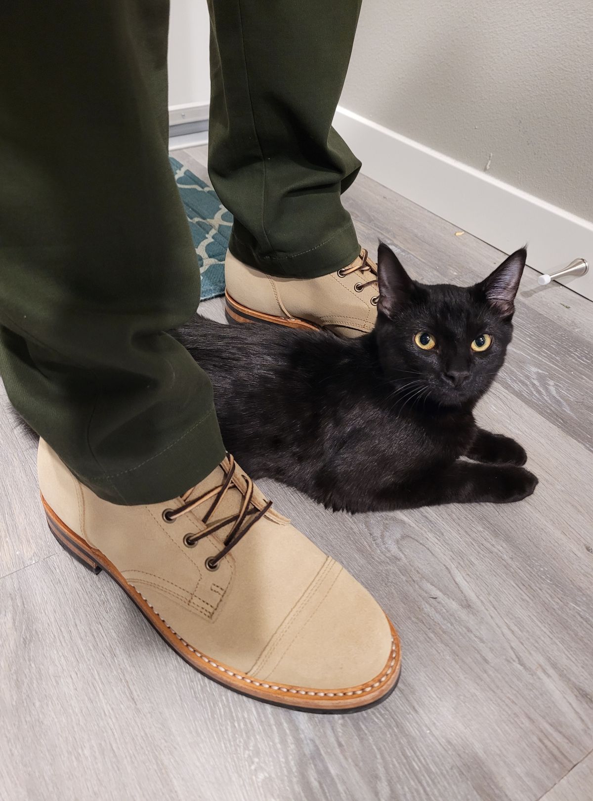 Photo by quantum_quetzal on November 18, 2022 of the Truman Service Boot in Tasman Leather Group Coyote Roughout.