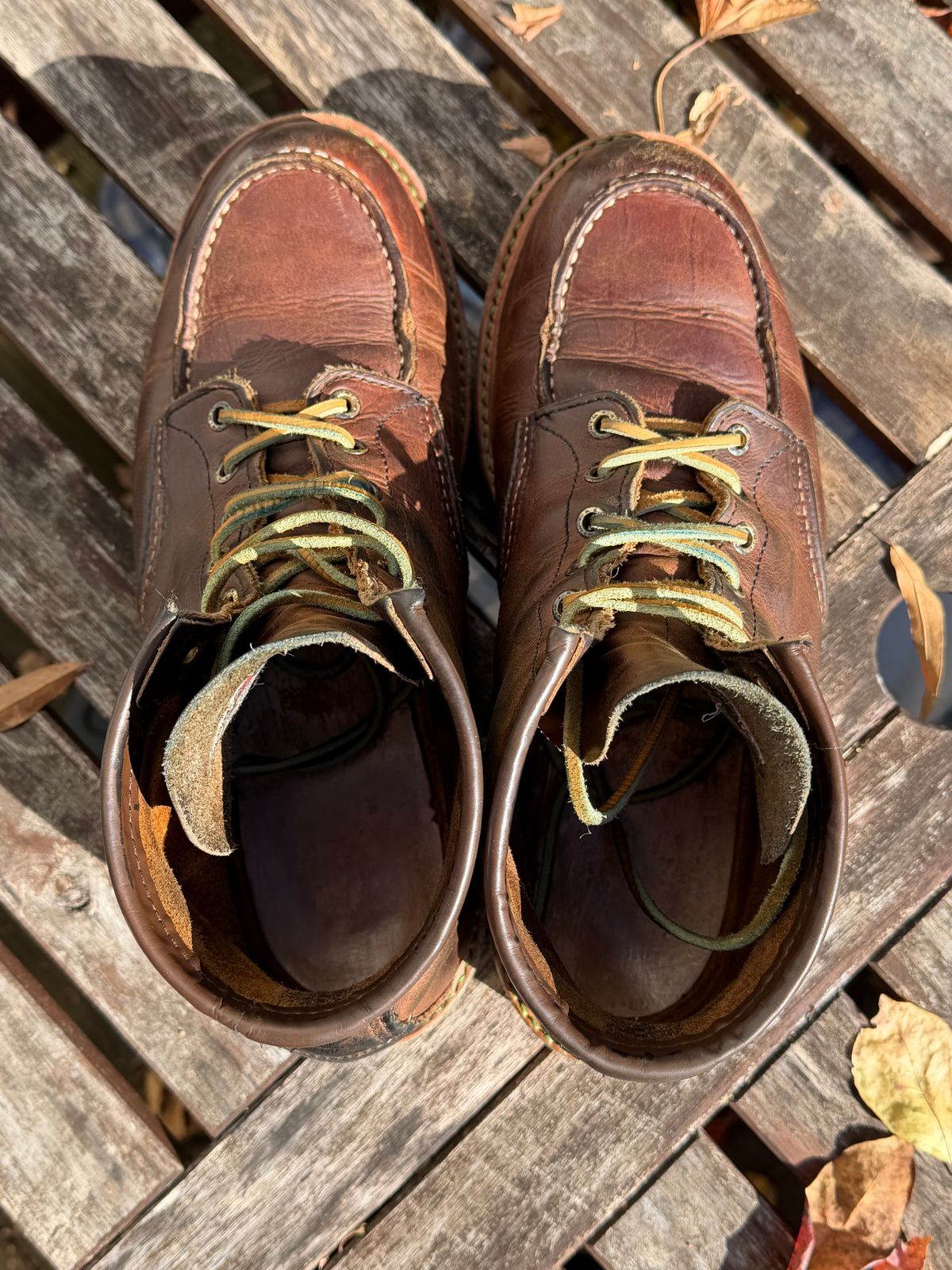 Photo by mwanni on November 2, 2025 of the Red Wing 6-Inch Classic Moc in S.B. Foot Copper Rough and Tough.