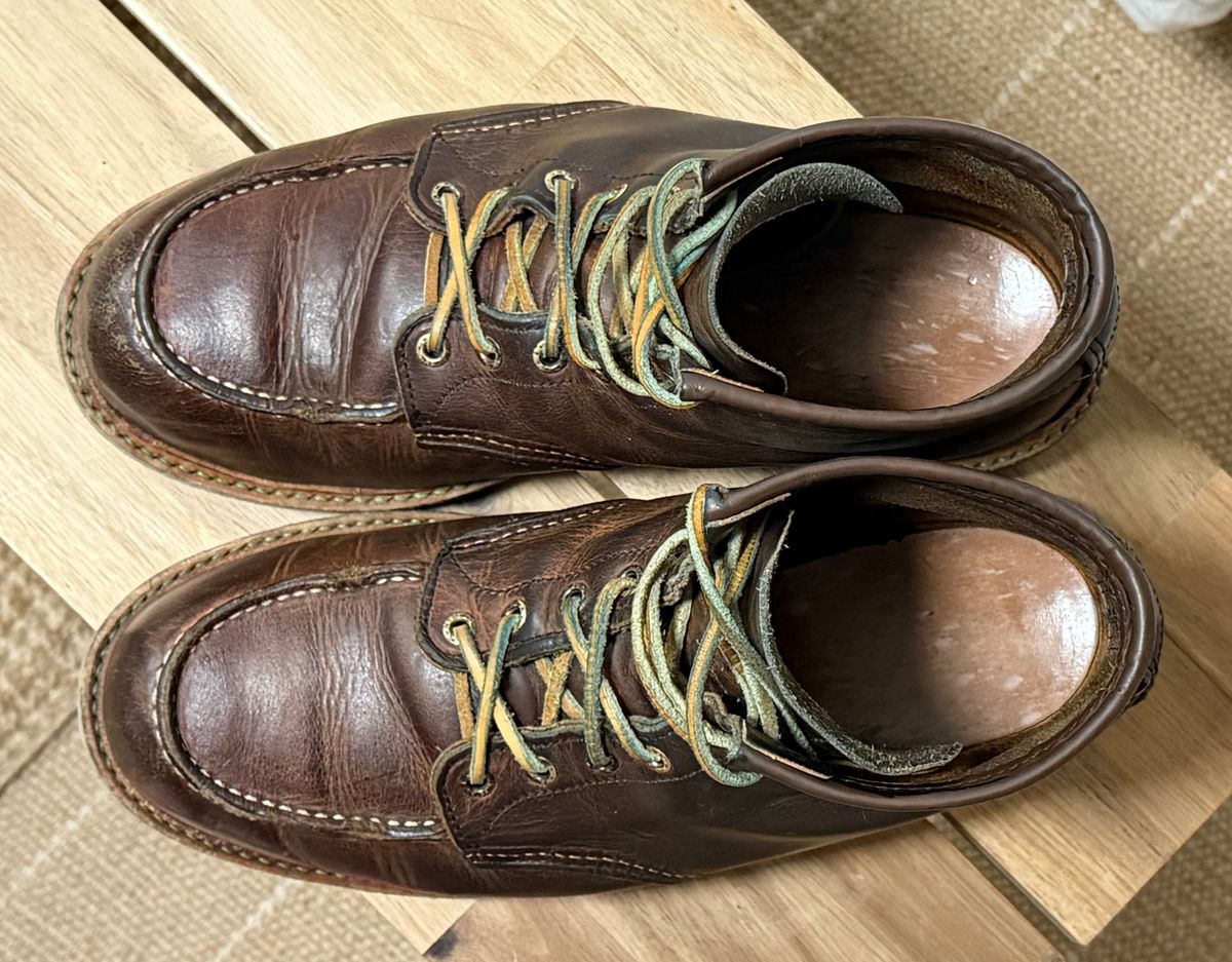 Photo by mwanni on February 6, 2026 of the Red Wing 6-Inch Classic Moc in S.B. Foot Copper Rough and Tough.