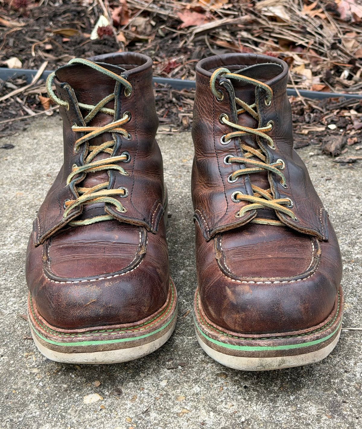 Photo by mwanni on March 5, 2026 of the Red Wing 6-Inch Classic Moc in S.B. Foot Copper Rough and Tough.