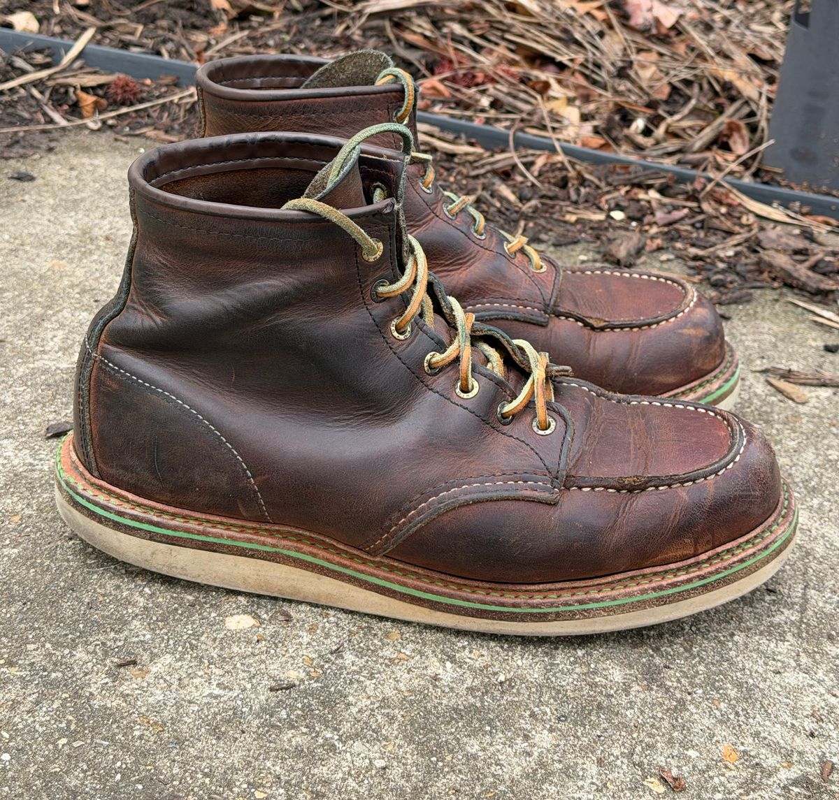 Photo by mwanni on March 5, 2026 of the Red Wing 6-Inch Classic Moc in S.B. Foot Copper Rough and Tough.