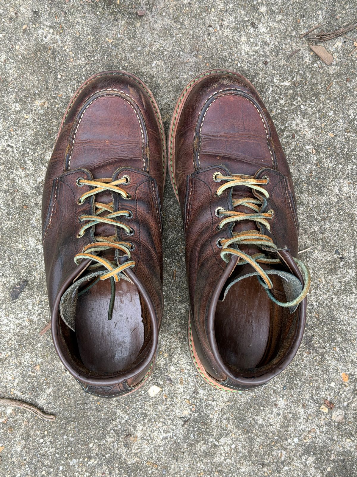 Photo by mwanni on March 5, 2026 of the Red Wing 6-Inch Classic Moc in S.B. Foot Copper Rough and Tough.