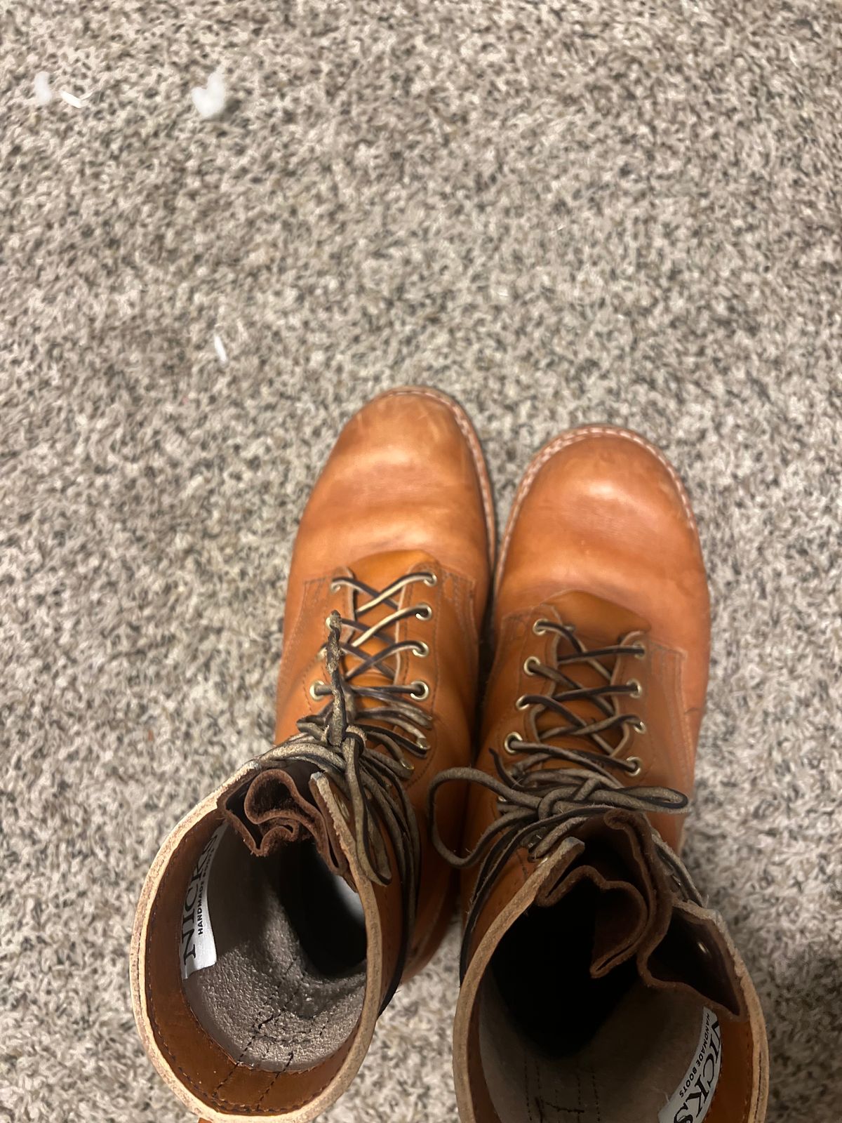 Photo by eliwooten on November 8, 2023 of the Nicks DomePro in Wickett & Craig Tan English Bridle.