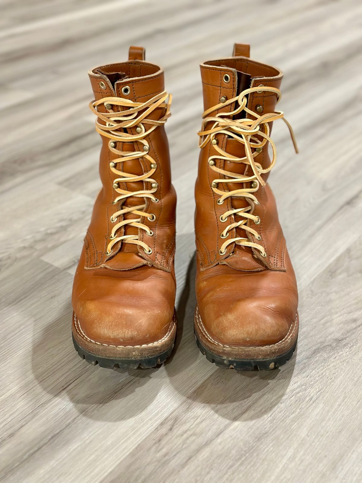 Photo by eliwooten on January 5, 2024 of the Nicks DomePro in Wickett & Craig Tan English Bridle.