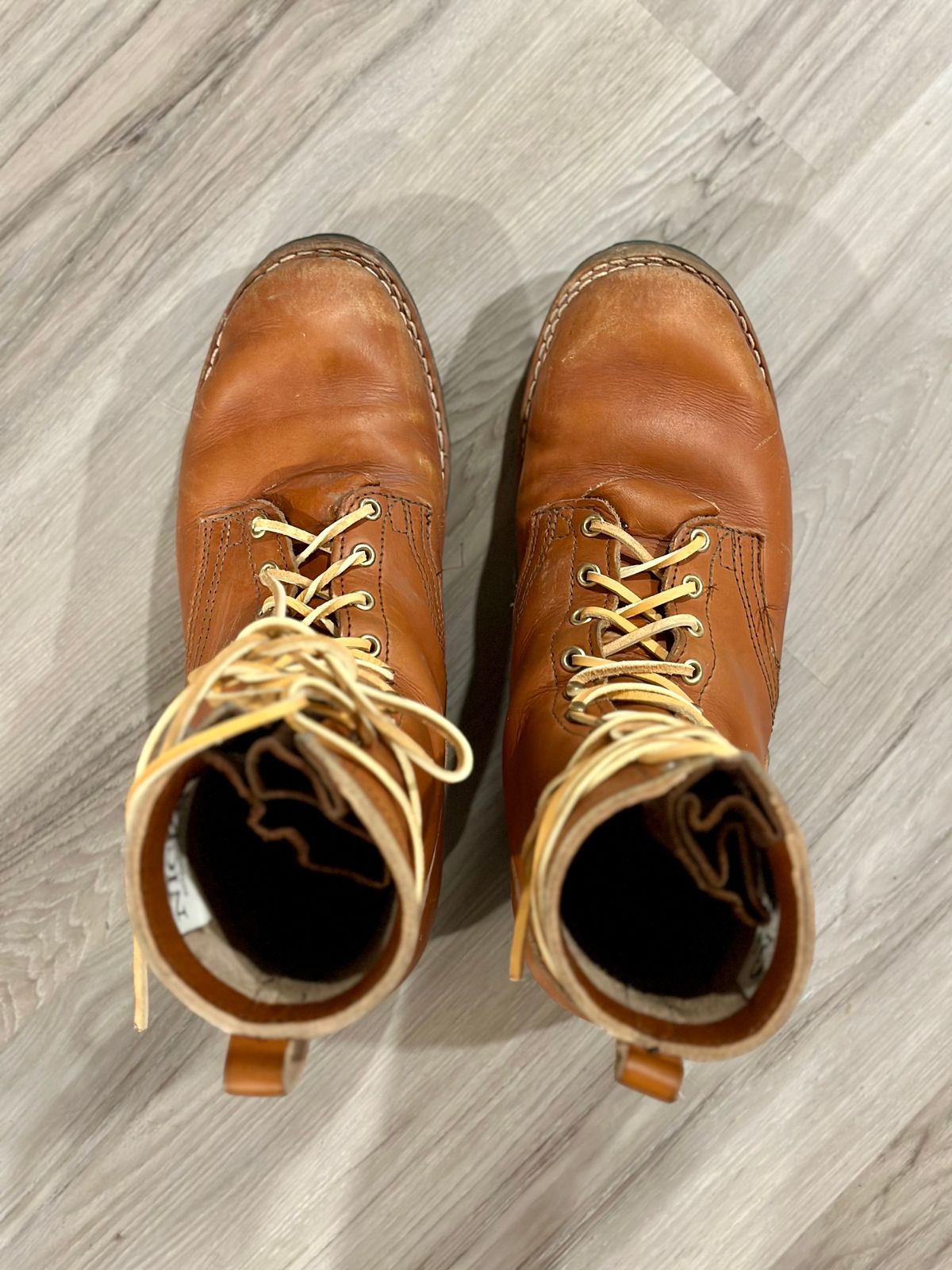 Photo by eliwooten on January 5, 2024 of the Nicks DomePro in Wickett & Craig Tan English Bridle.