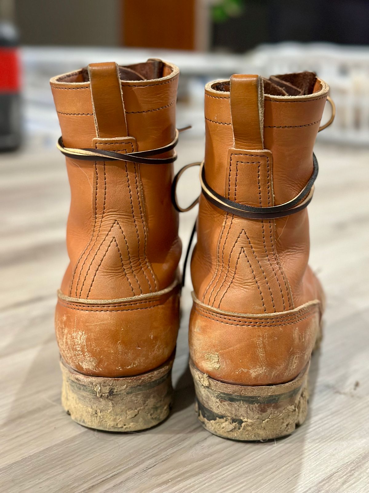 Photo by eliwooten on February 6, 2024 of the Nicks DomePro in Wickett & Craig Tan English Bridle.