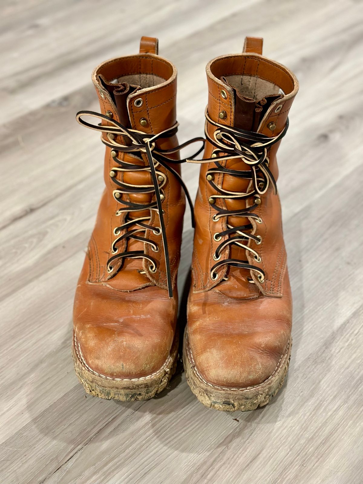 Photo by eliwooten on February 6, 2024 of the Nicks DomePro in Wickett & Craig Tan English Bridle.