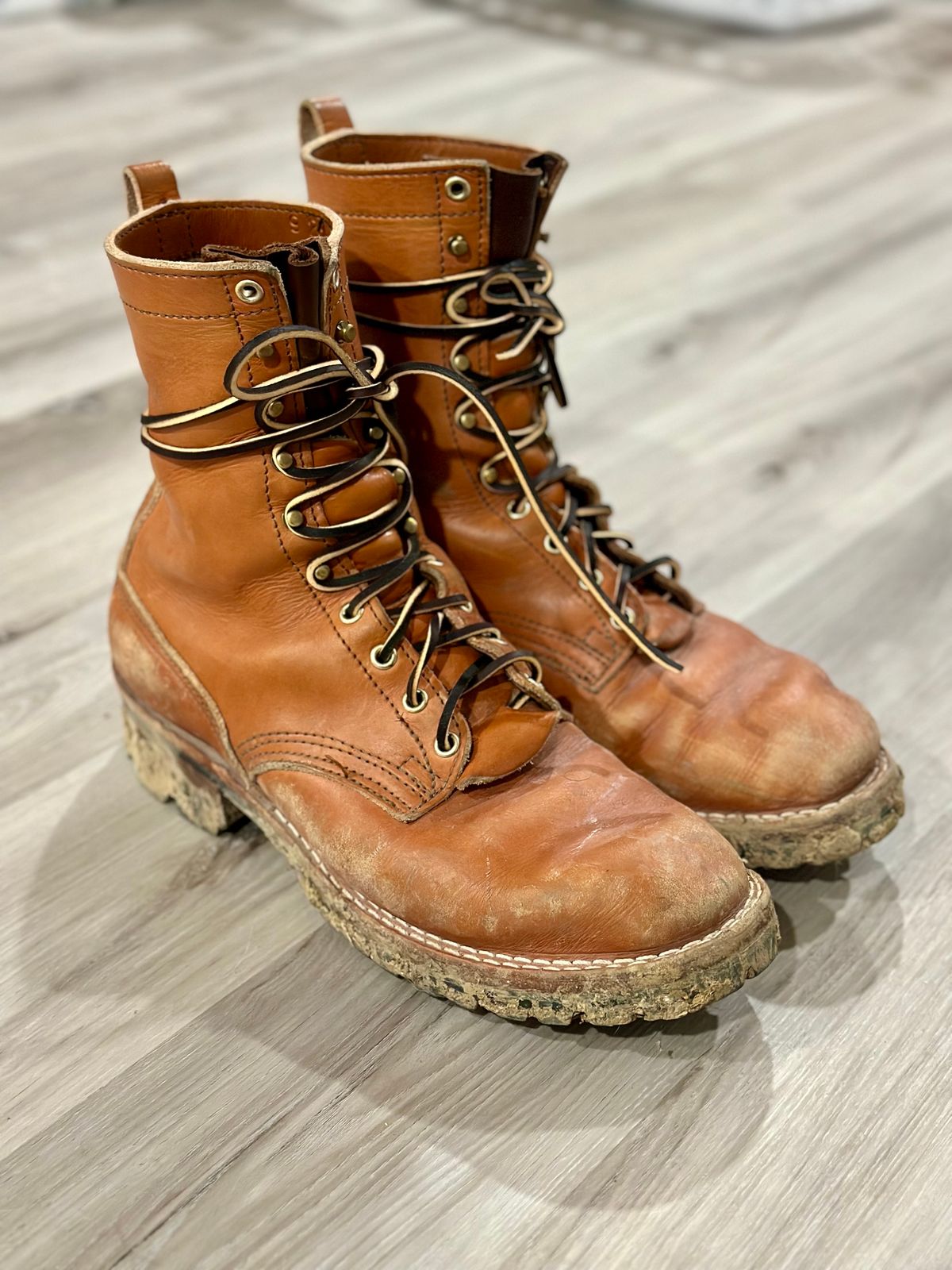Photo by eliwooten on February 6, 2024 of the Nicks DomePro in Wickett & Craig Tan English Bridle.