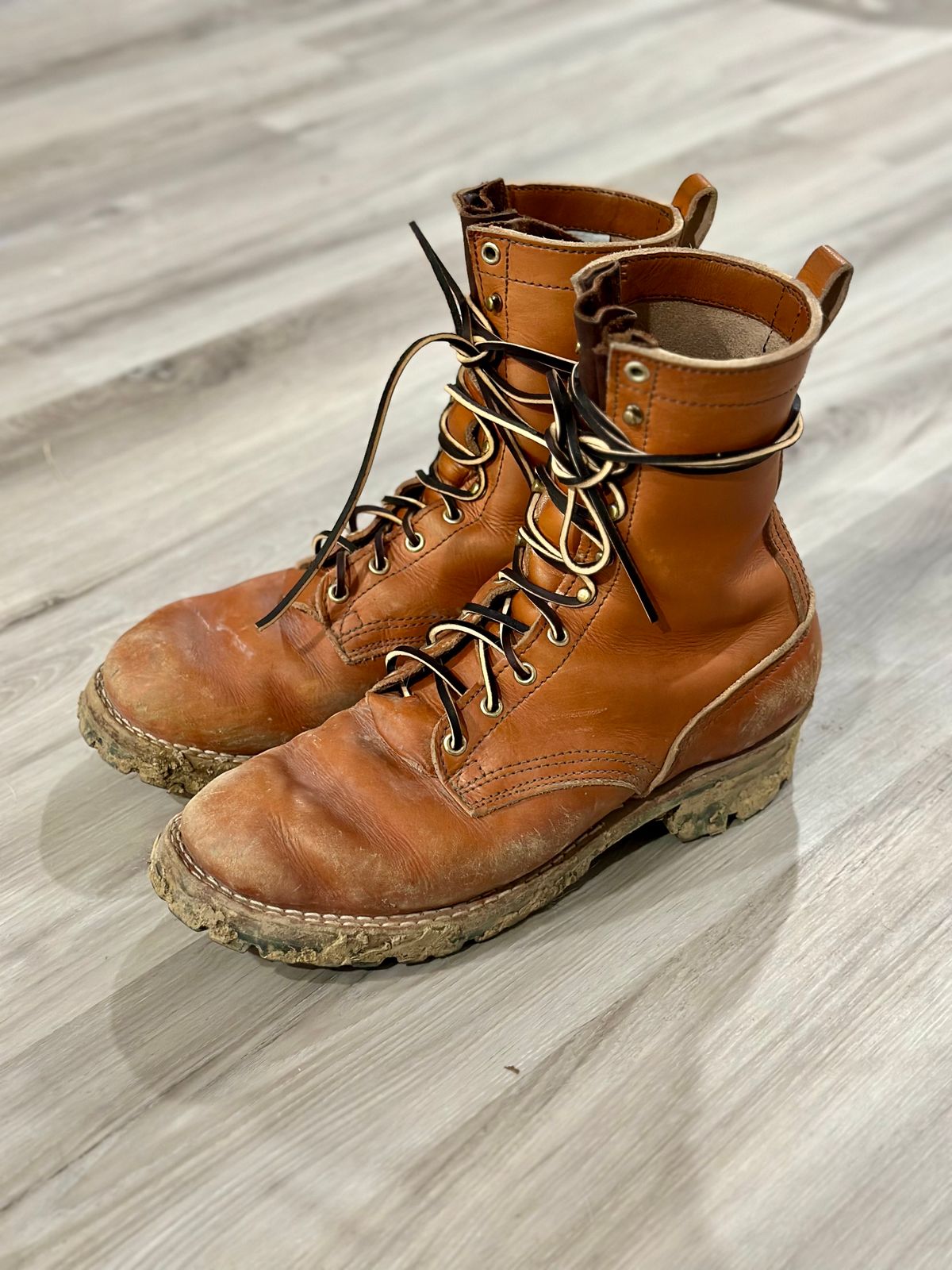 Photo by eliwooten on February 6, 2024 of the Nicks DomePro in Wickett & Craig Tan English Bridle.