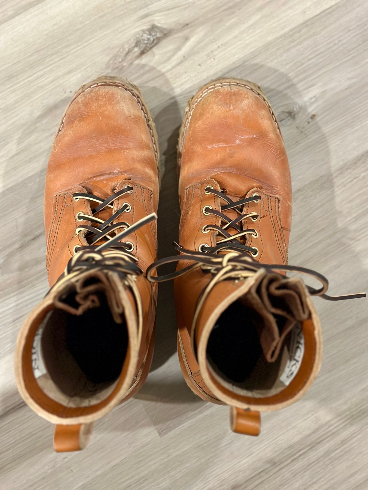 Photo by eliwooten on February 6, 2024 of the Nicks DomePro in Wickett & Craig Tan English Bridle.