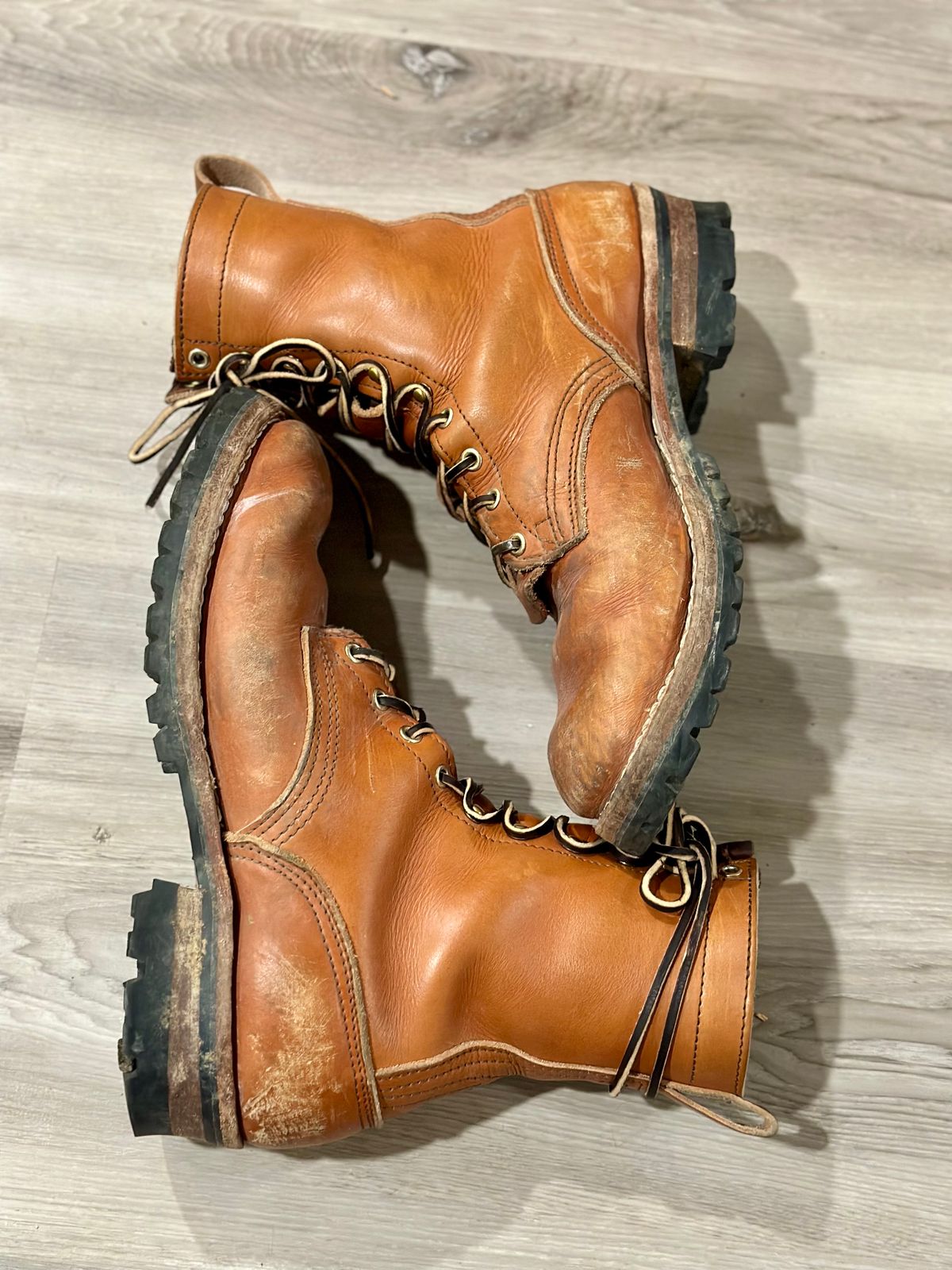 Photo by eliwooten on March 5, 2024 of the Nicks DomePro in Wickett & Craig Tan English Bridle.