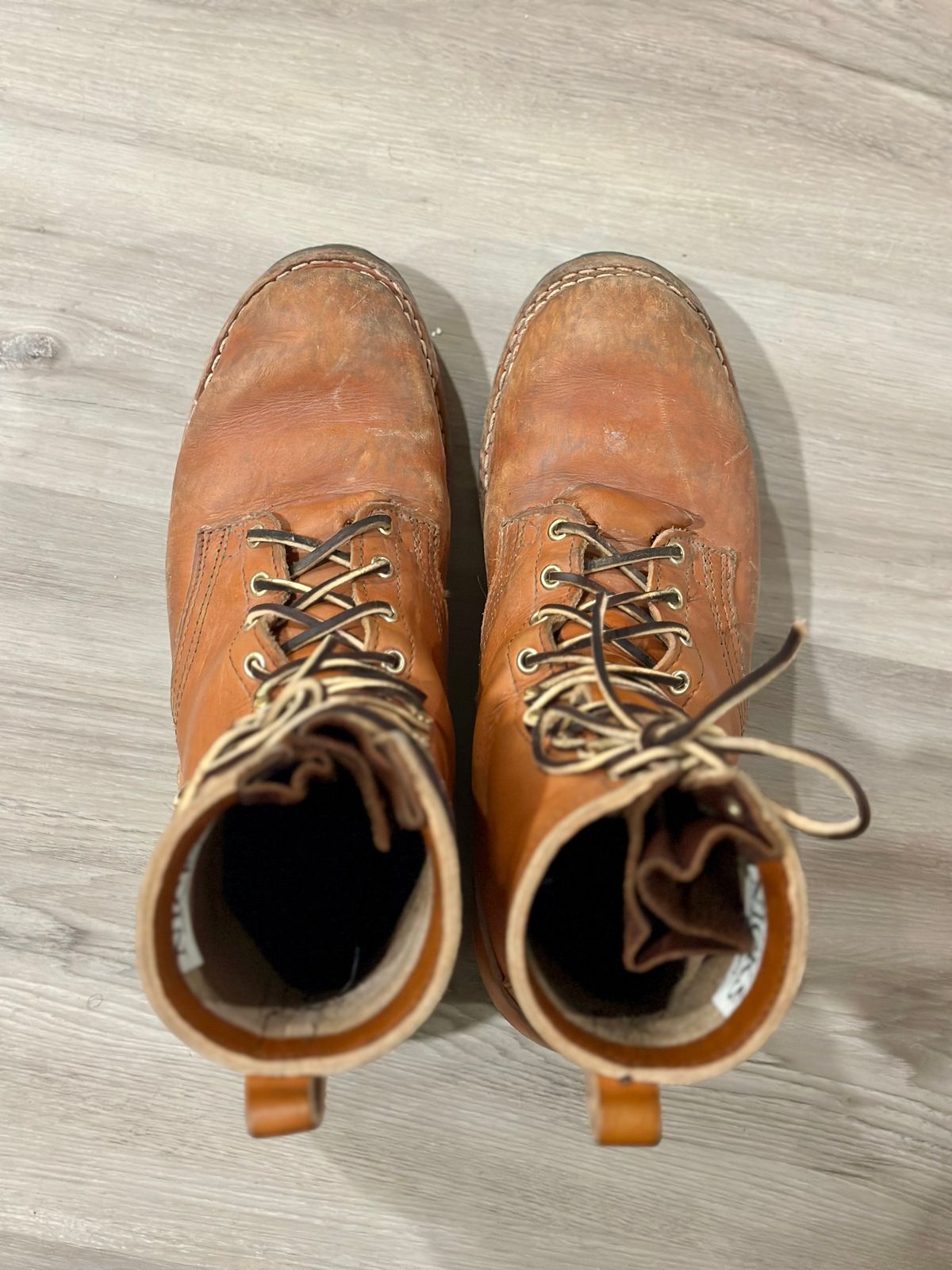 Photo by eliwooten on March 5, 2024 of the Nicks DomePro in Wickett & Craig Tan English Bridle.