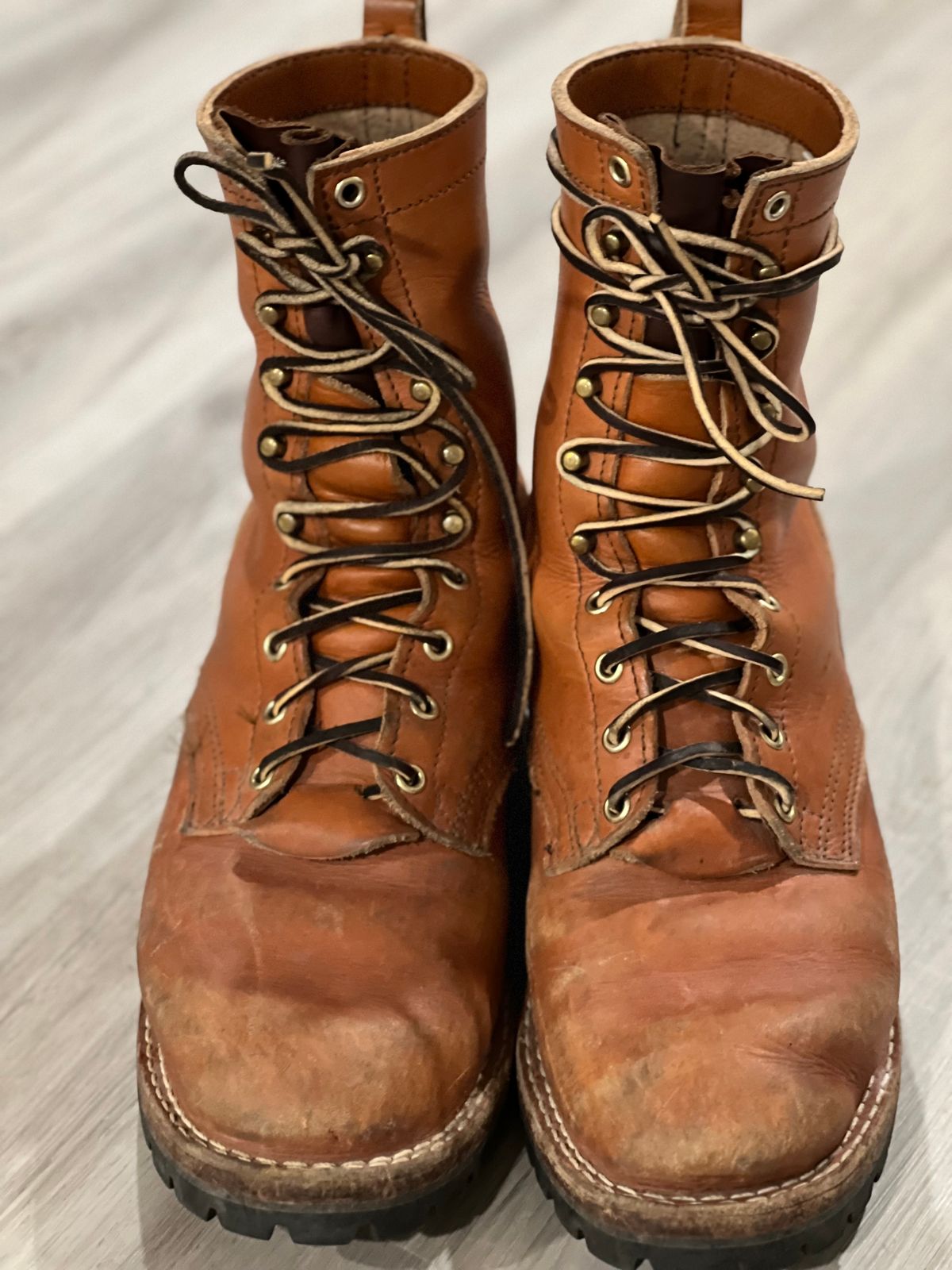 Photo by eliwooten on April 6, 2024 of the Nicks DomePro in Wickett & Craig Tan English Bridle.