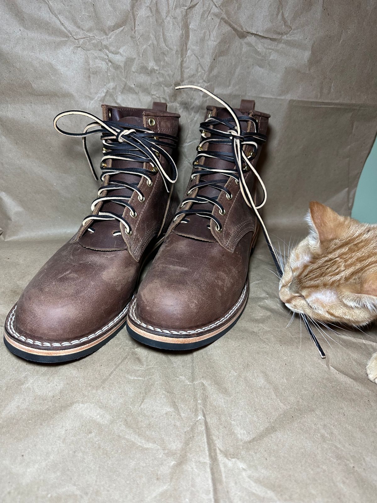 Photo by scuba.rawb on October 1, 2023 of the Nicks Falcon in Horween Whiskey Predator.