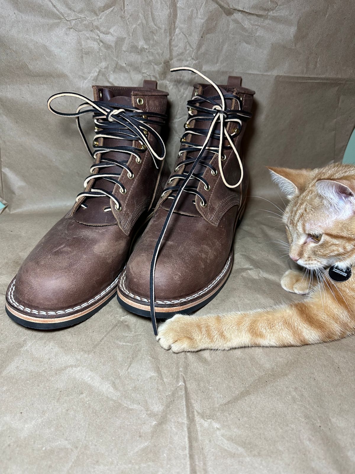 Photo by scuba.rawb on October 1, 2023 of the Nicks Falcon in Horween Whiskey Predator.