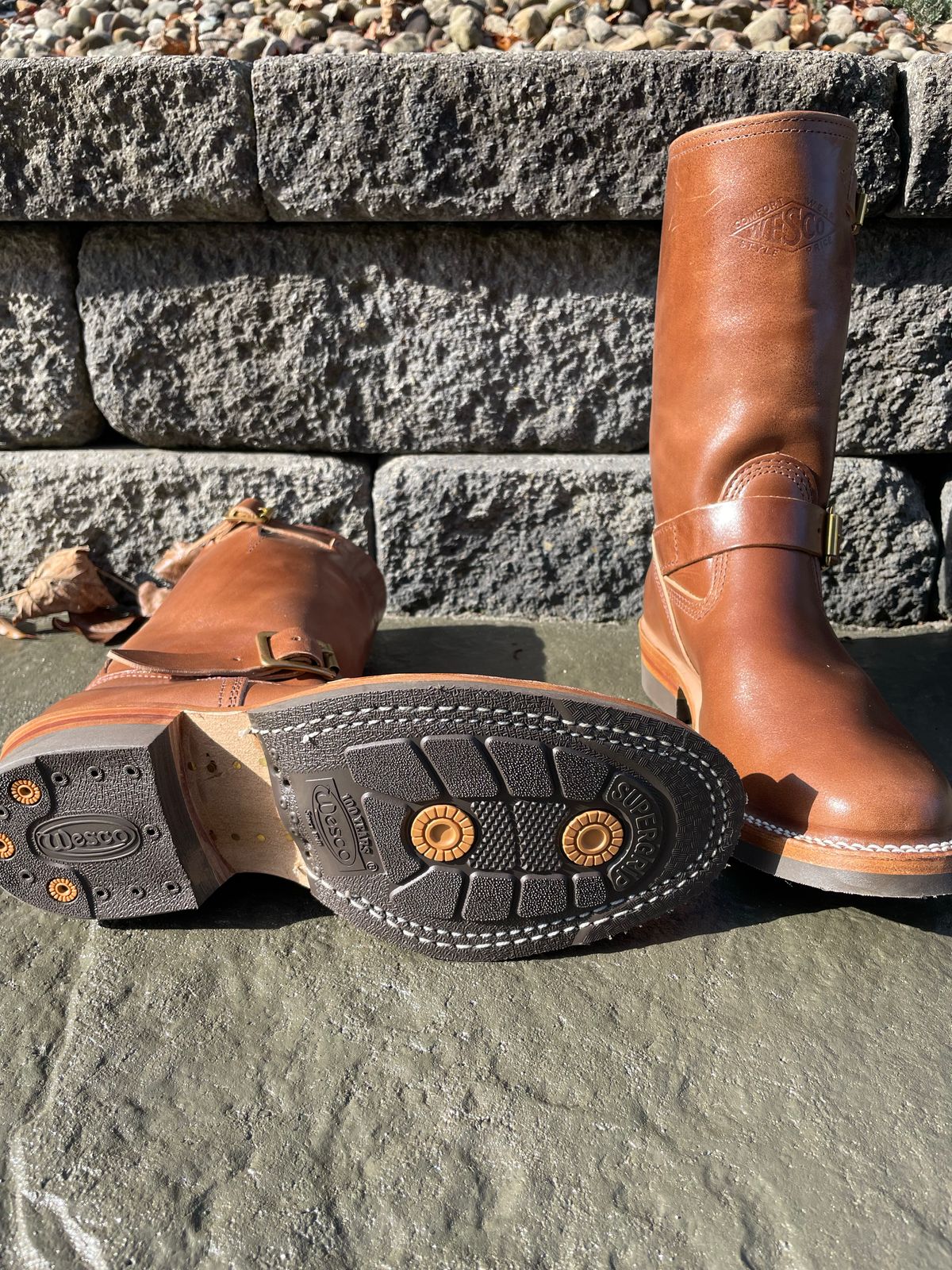 Photo by Bootstrap on November 4, 2022 of the Wesco Mister Lou in Maryam Toscanello TPR Horsebutt.