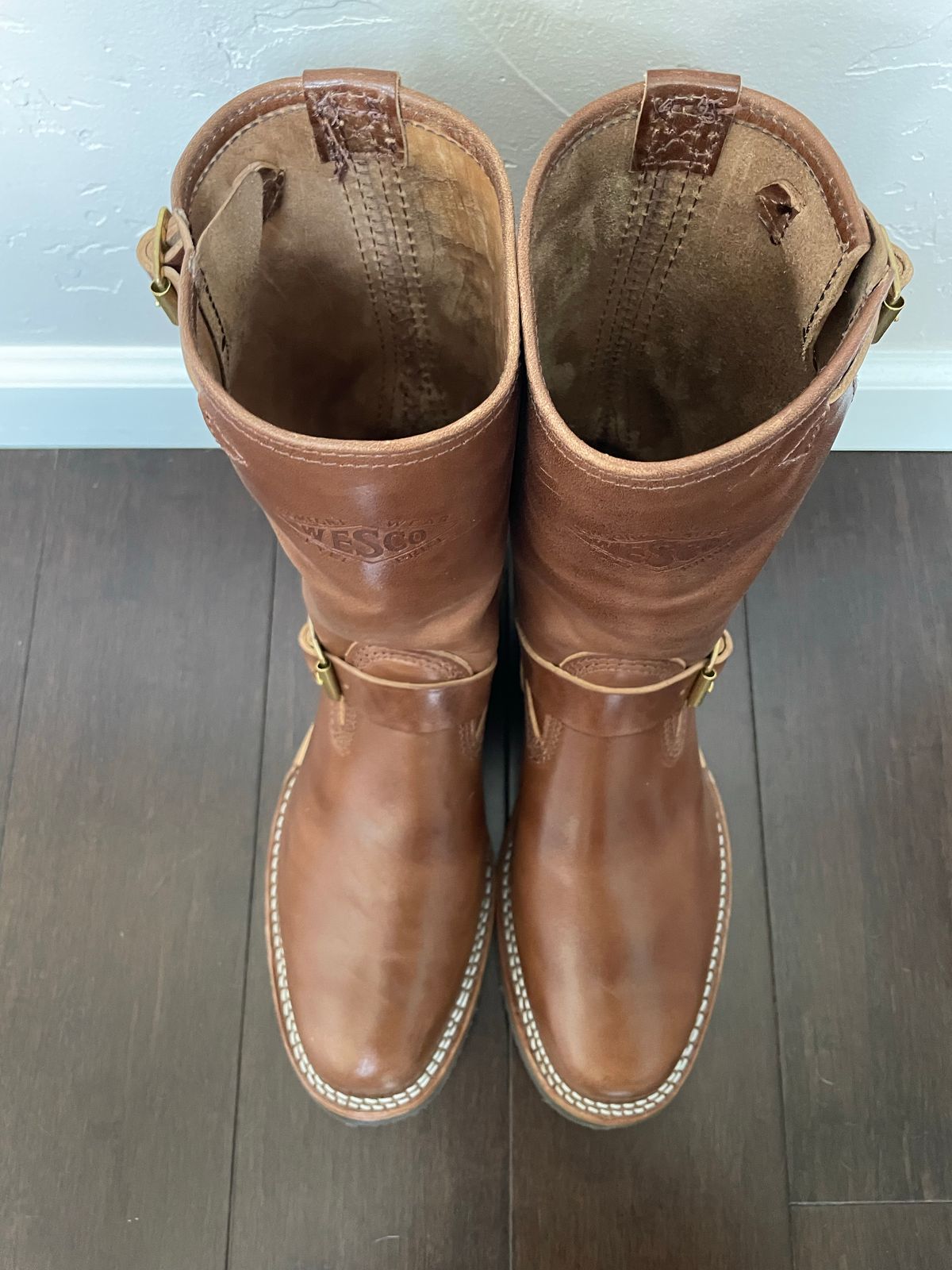 Photo by Bootstrap on November 4, 2022 of the Wesco Mister Lou in Maryam Toscanello TPR Horsebutt.