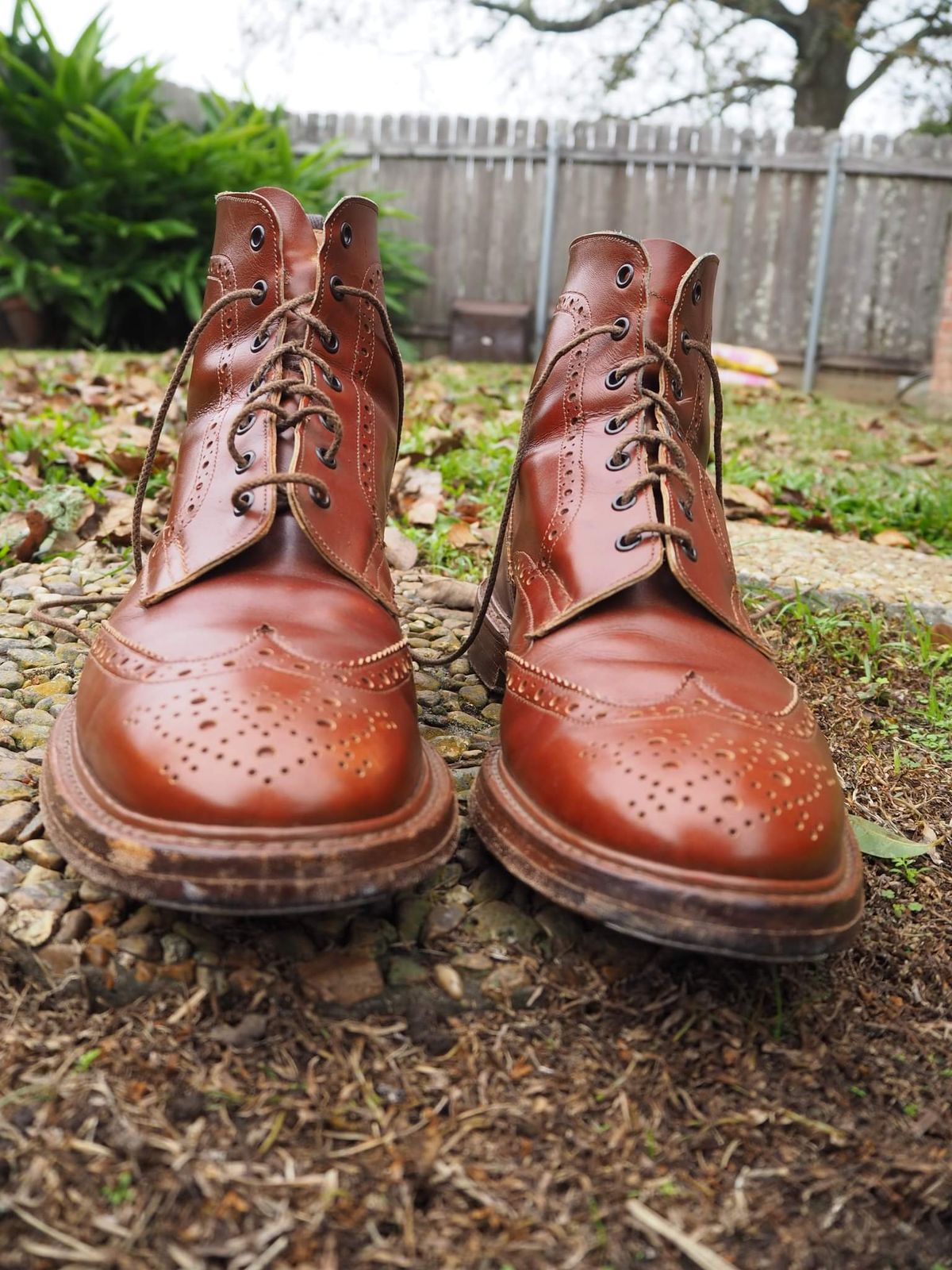 Photo by cocaloch on December 5, 2022 of the Tricker's Stow Country Boot in Unlisted Leather.